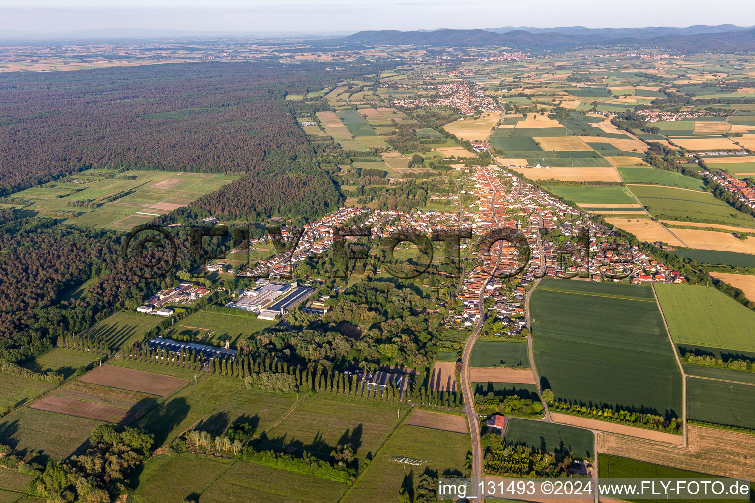 District Schaidt in Wörth am Rhein in the state Rhineland-Palatinate, Germany seen from a drone