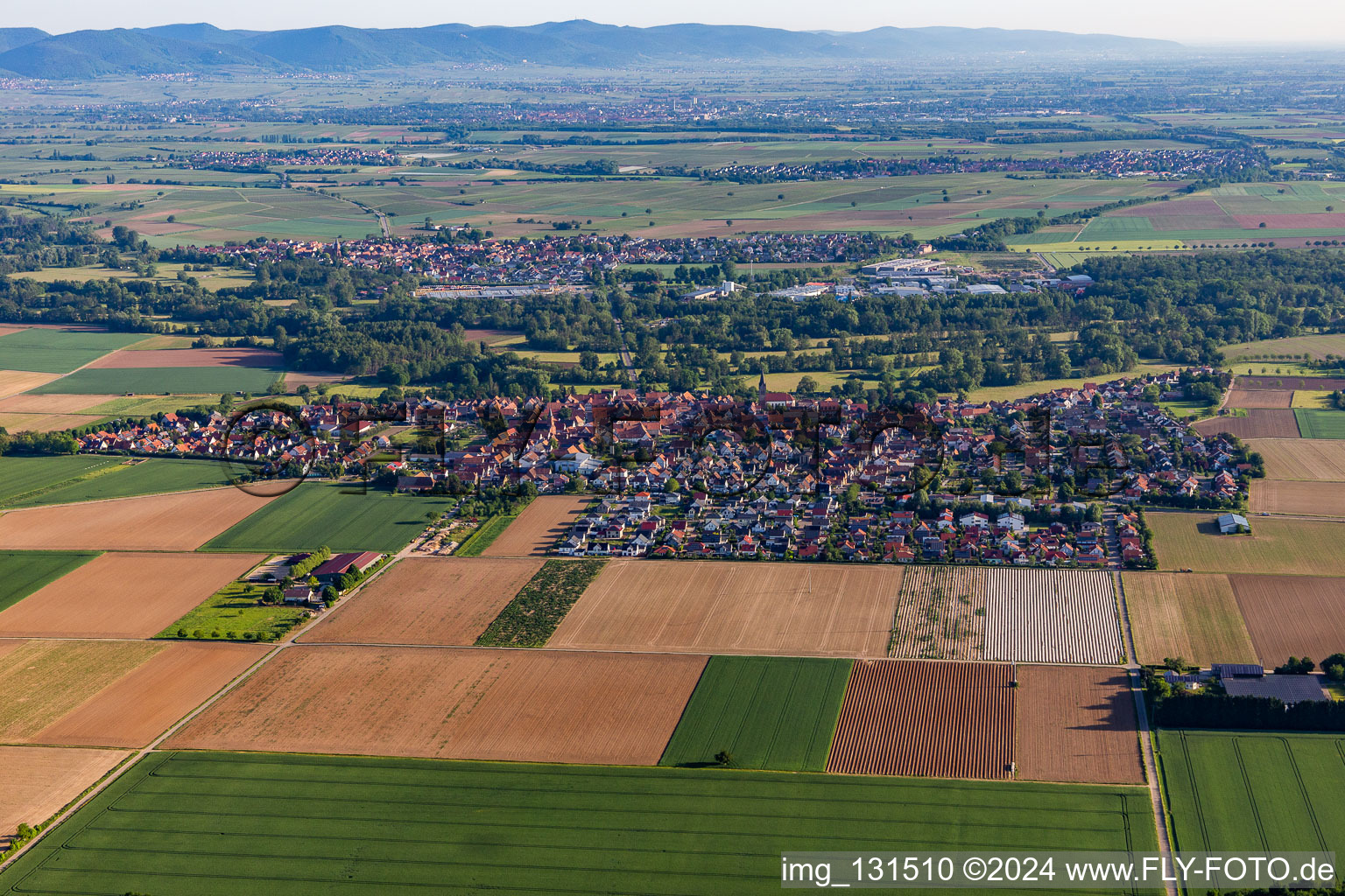 Steinweiler in the state Rhineland-Palatinate, Germany from a drone