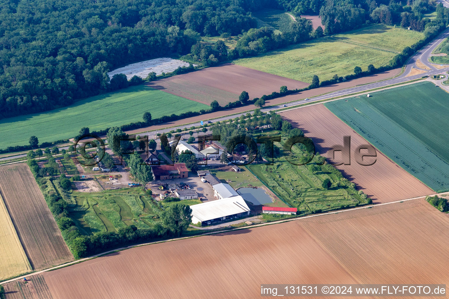 South Palatinate football golf park near Adamshof in Kandel in the state Rhineland-Palatinate, Germany