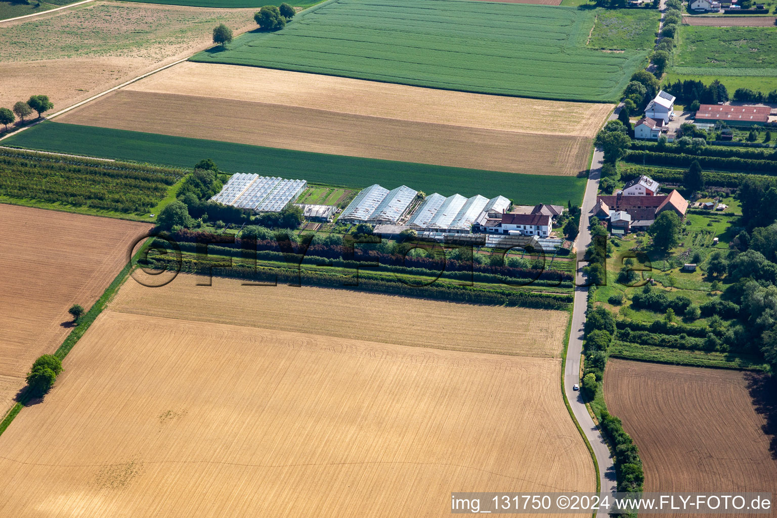 Aerial photograpy of Dieter Schmeißer Cut Green in Vollmersweiler in the state Rhineland-Palatinate, Germany