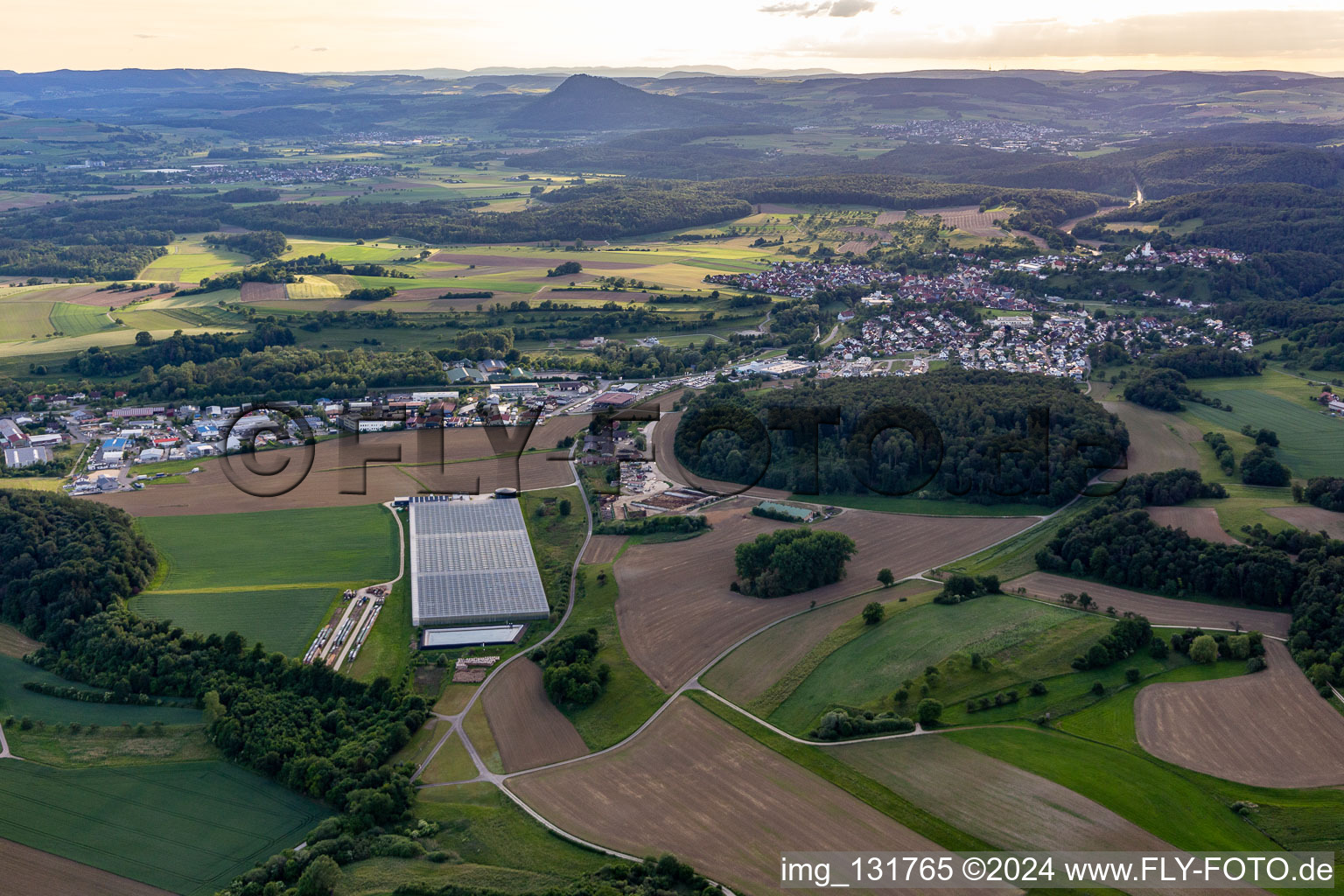 Greenhouses in Aach in the state Baden-Wuerttemberg, Germany