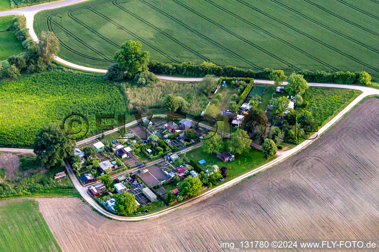 Allotment gardens in Hausen an der Aach in the district Hausen an der Aach in Singen in the state Baden-Wuerttemberg, Germany