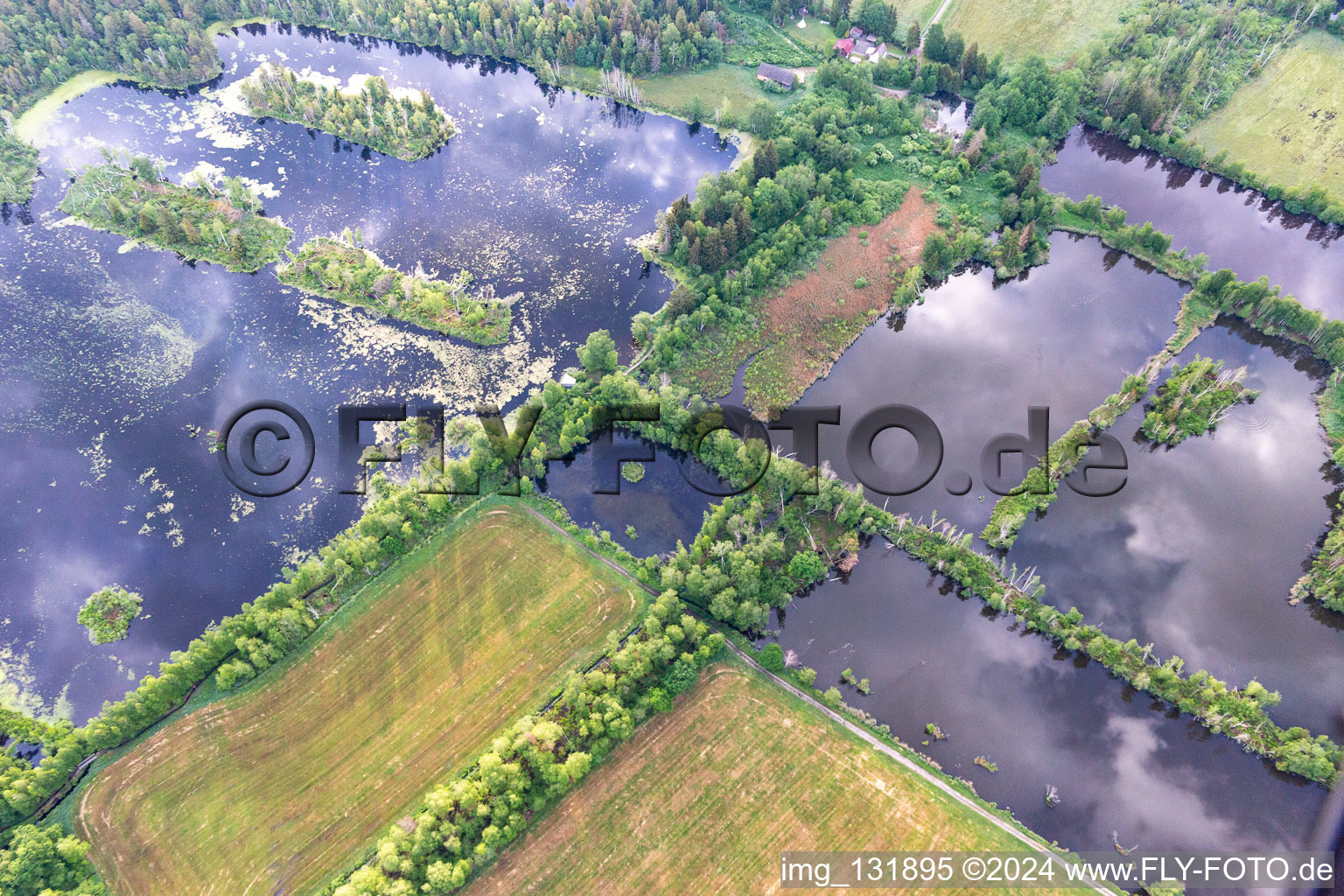 Moor lakes Pfrungener- Burgweiler Ried in the district Pfrungen in Wilhelmsdorf in the state Baden-Wuerttemberg, Germany