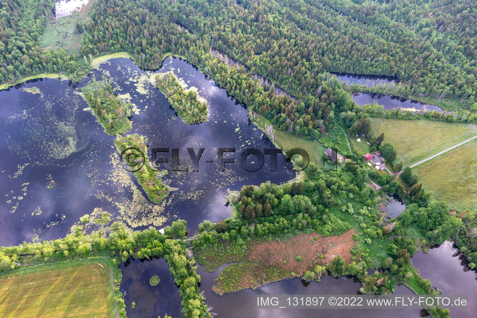 Aerial photograpy of Moorseen Pfrungener-Burgweiler Ried in Wilhelmsdorf in the state Baden-Wuerttemberg, Germany