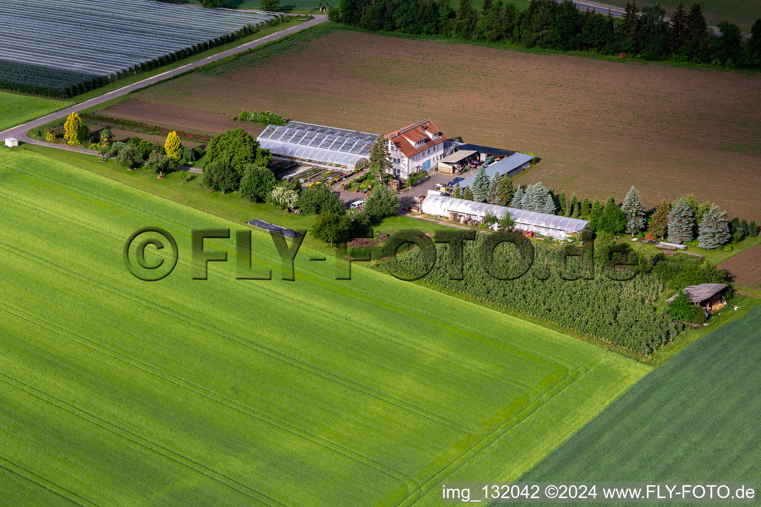 Hodapp Gardening and Floristry in the district Altheim in Frickingen in the state Baden-Wuerttemberg, Germany