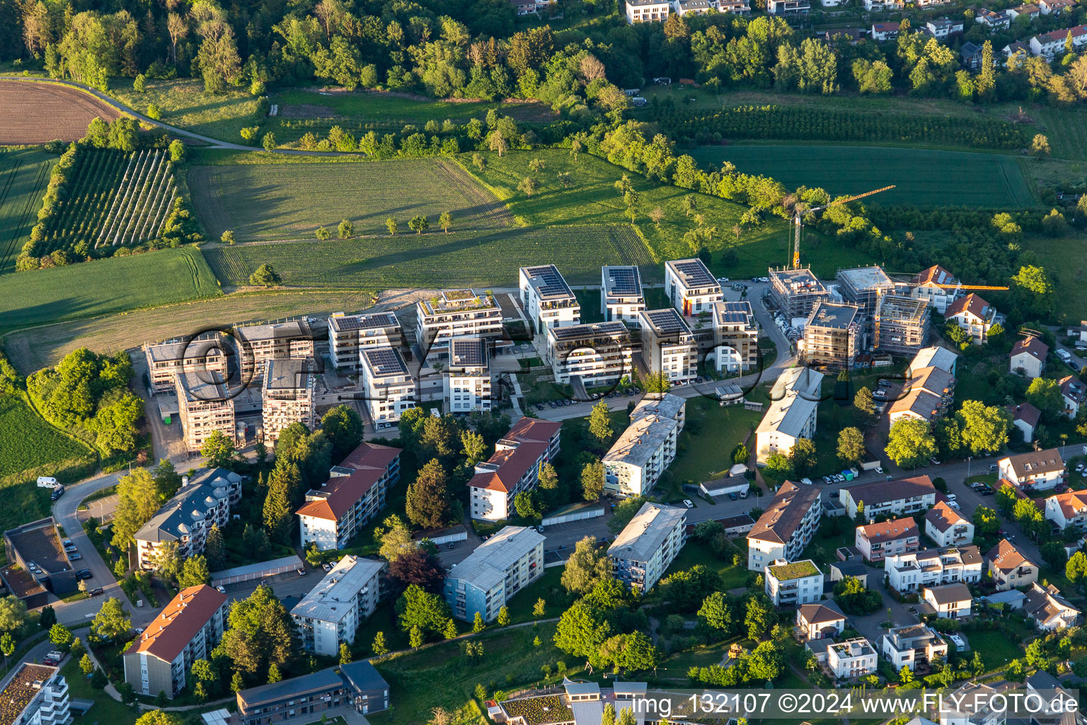 Anna-Zentgraf-Strasse in the district Kogenbach in Überlingen in the state Baden-Wuerttemberg, Germany