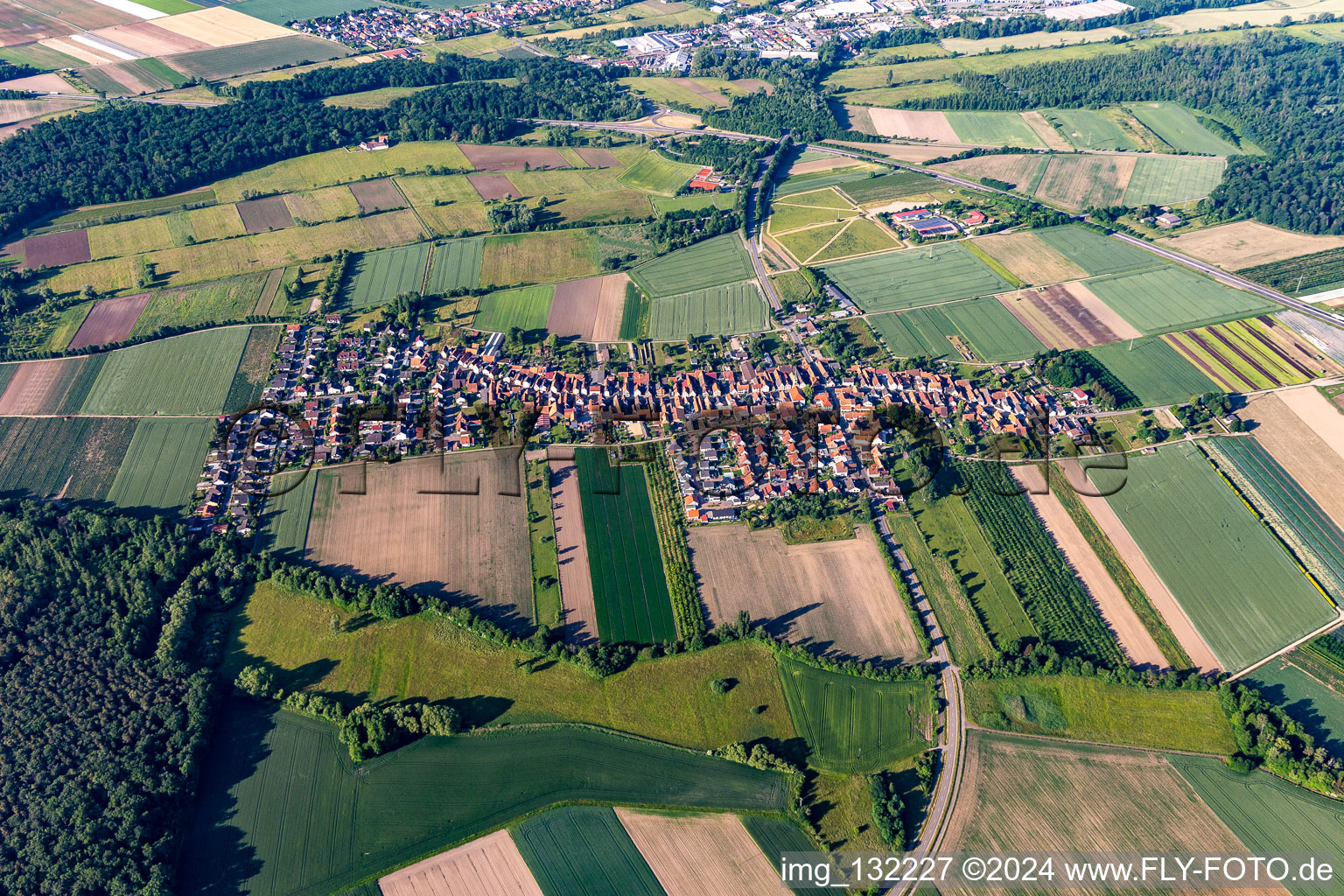 Oblique view of Erlenbach bei Kandel in the state Rhineland-Palatinate, Germany