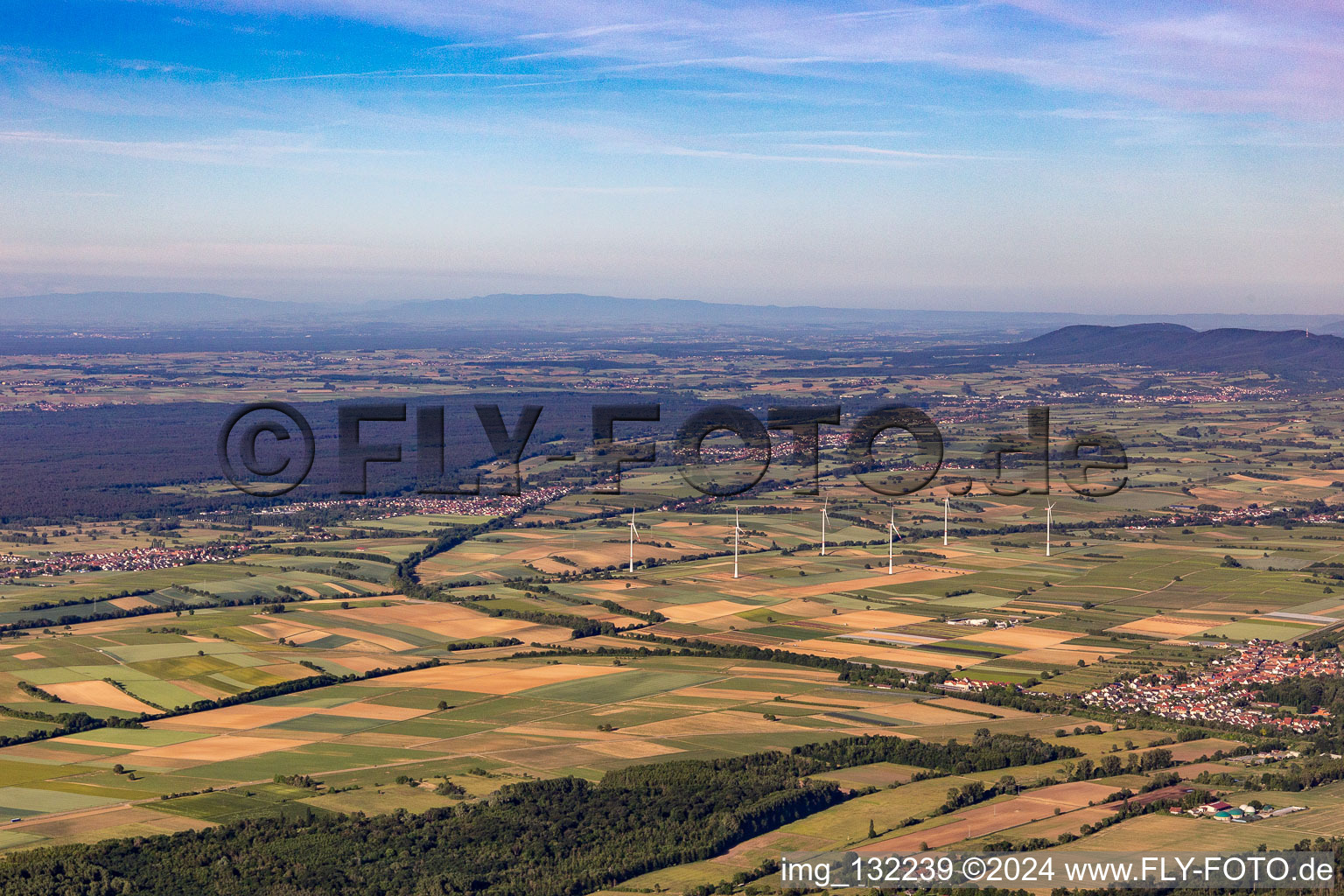 Southern Palatinate Panorama Viestrich and Bienwald in Freckenfeld in the state Rhineland-Palatinate, Germany