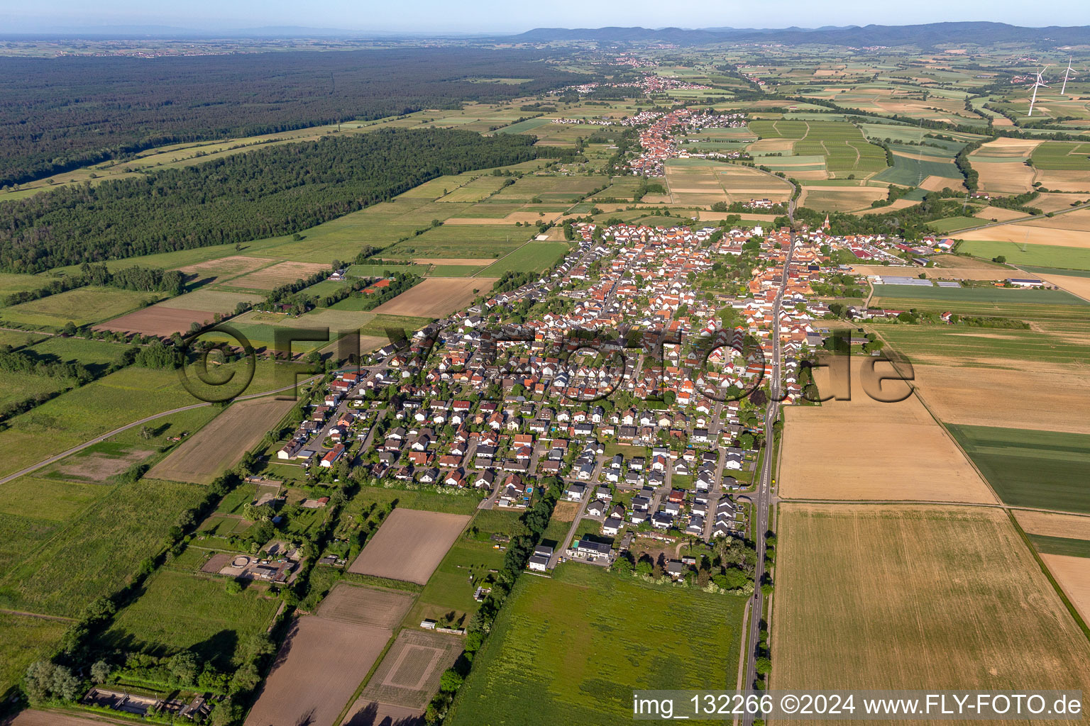 Bird's eye view of Minfeld in the state Rhineland-Palatinate, Germany