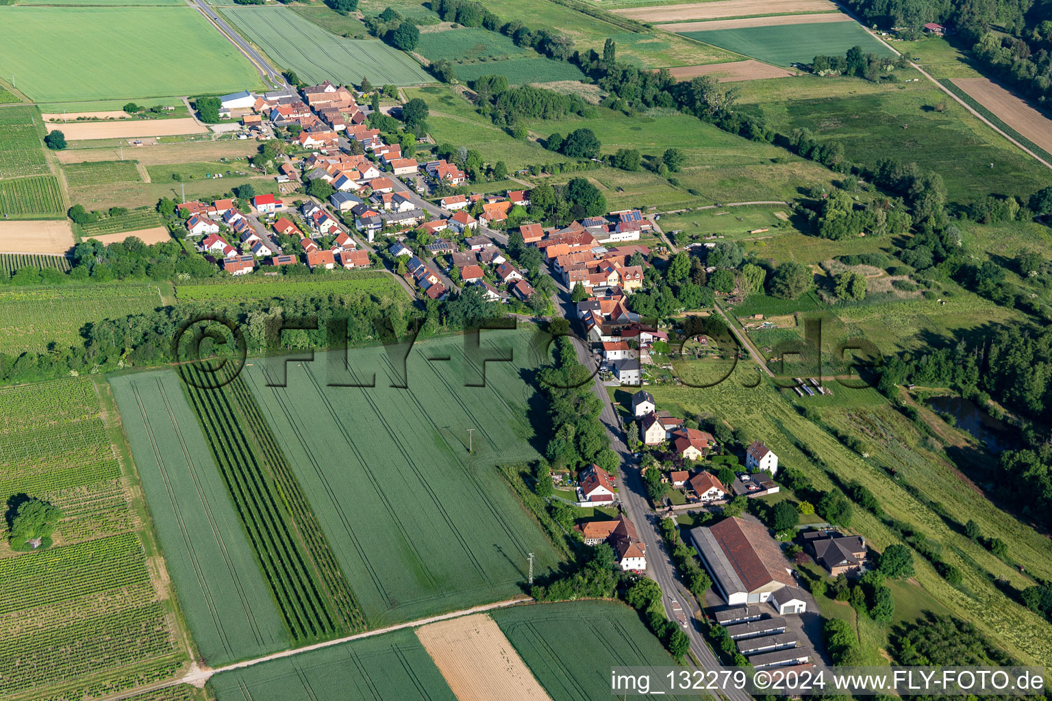 Bird's eye view of Hergersweiler in the state Rhineland-Palatinate, Germany