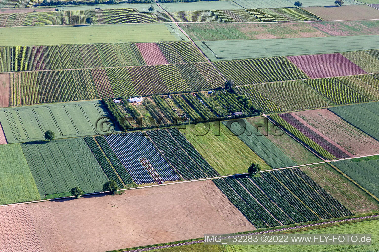 Aerial view of Orchard in the district Mühlhofen in Billigheim-Ingenheim in the state Rhineland-Palatinate, Germany