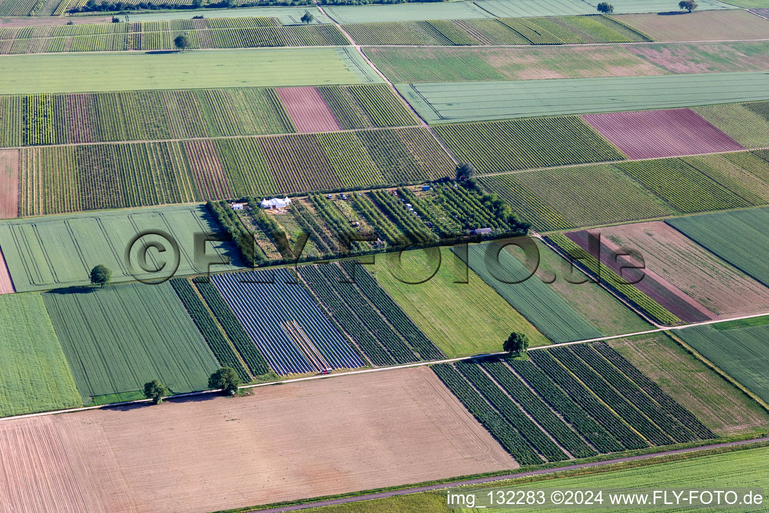 Aerial view of Orchard in the district Mühlhofen in Billigheim-Ingenheim in the state Rhineland-Palatinate, Germany