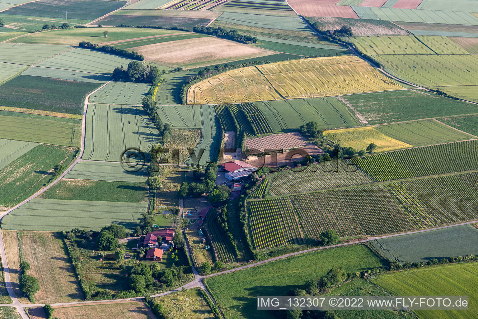 Obsthof Zirker KG in the district Herxheim in Herxheim bei Landau in the state Rhineland-Palatinate, Germany