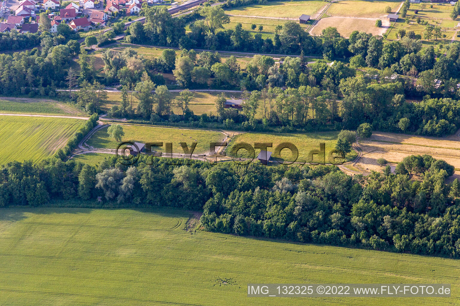 Mhou ostrich farm in Rülzheim in the state Rhineland-Palatinate, Germany