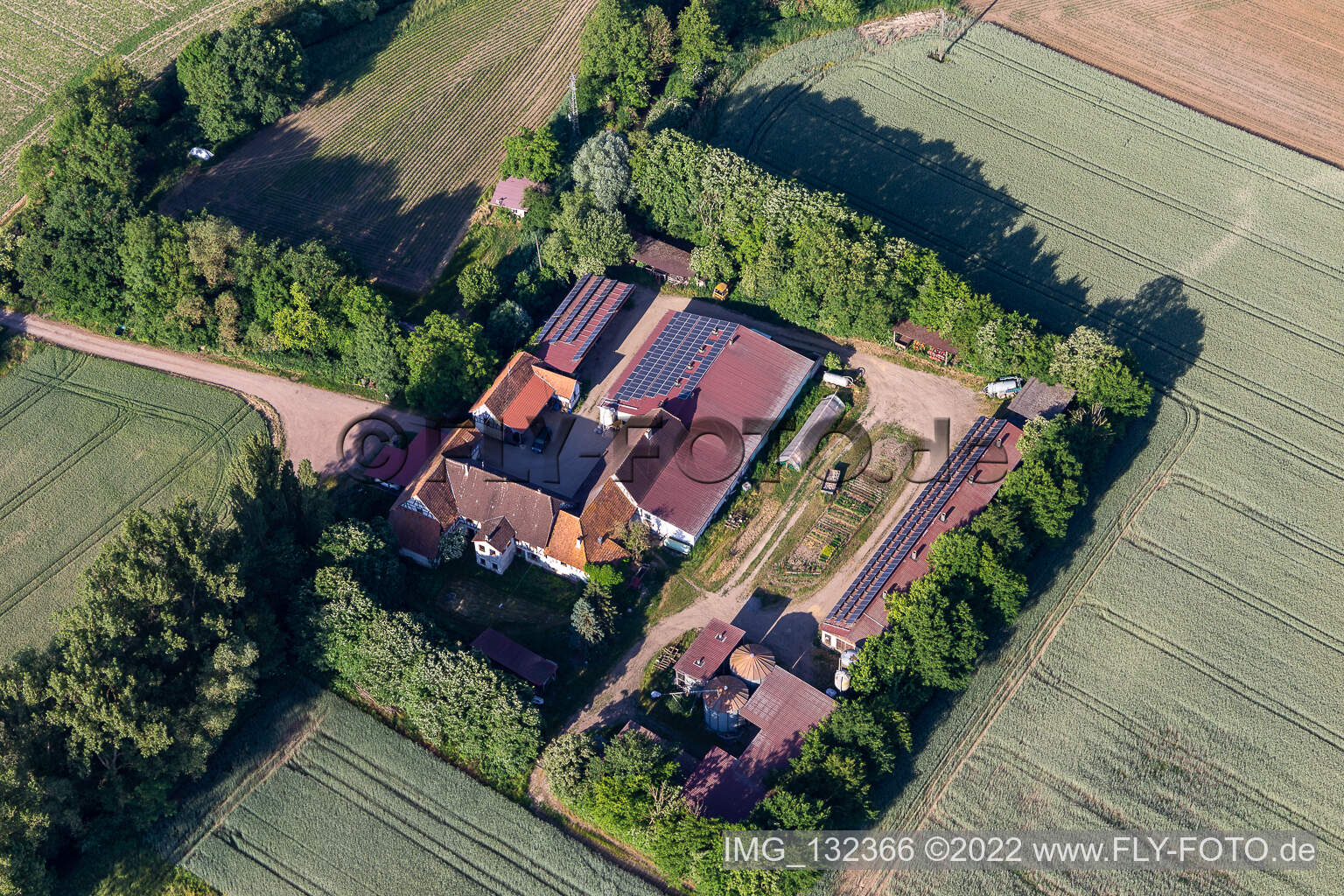 Erlenbach bei Kandel in the state Rhineland-Palatinate, Germany from above