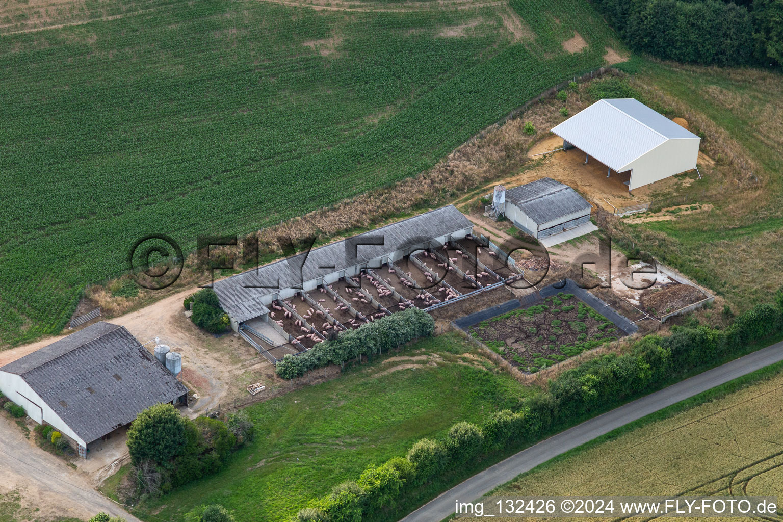 Aerial view of Cournon pig farm with free range in Saint-Michel-de-Chavaignes in the state Sarthe, France