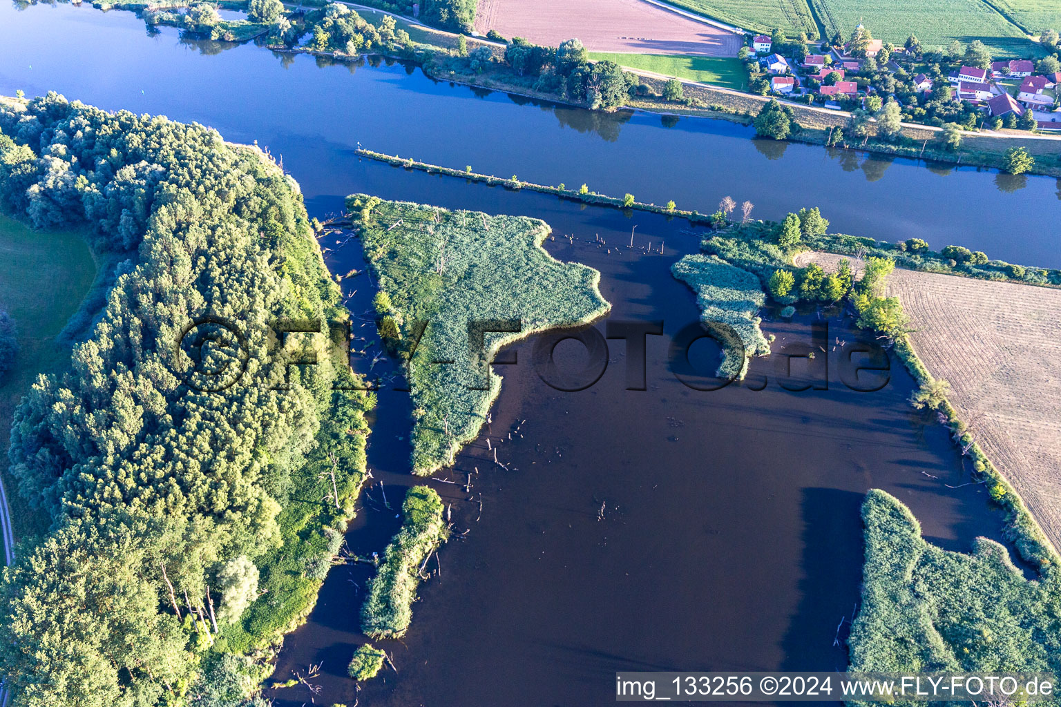 Old Danube at the Gmünder Au in the district Gmünd in Pfatter in the state Bavaria, Germany