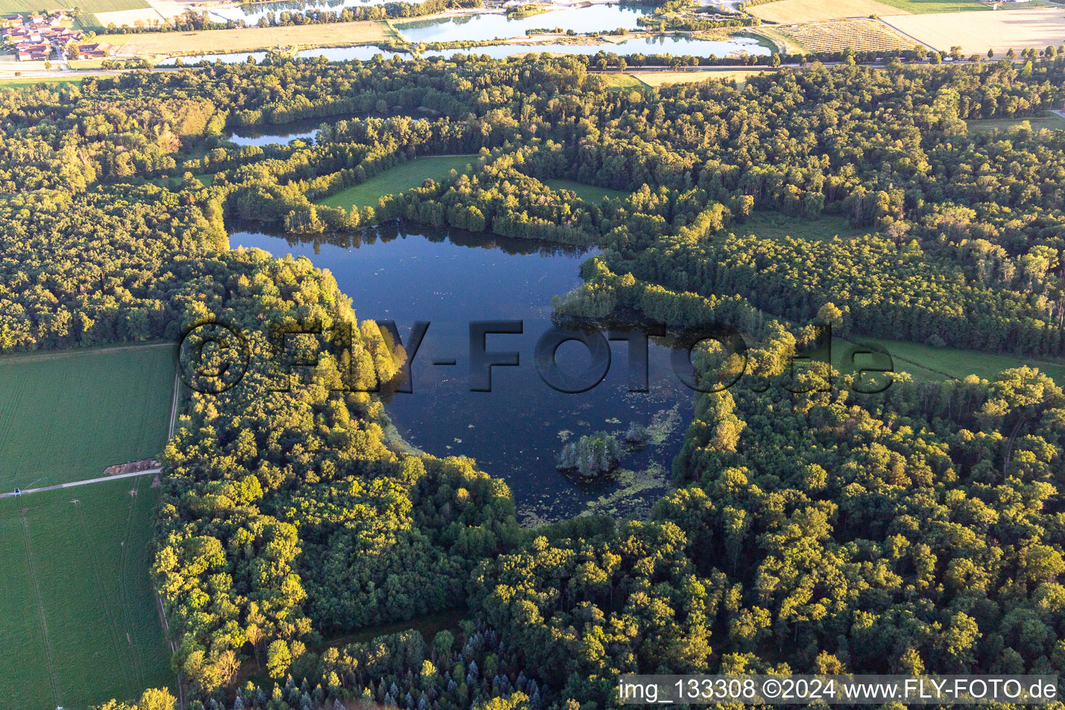 Pond at Moosgraben in the district Eltheim in Barbing in the state Bavaria, Germany