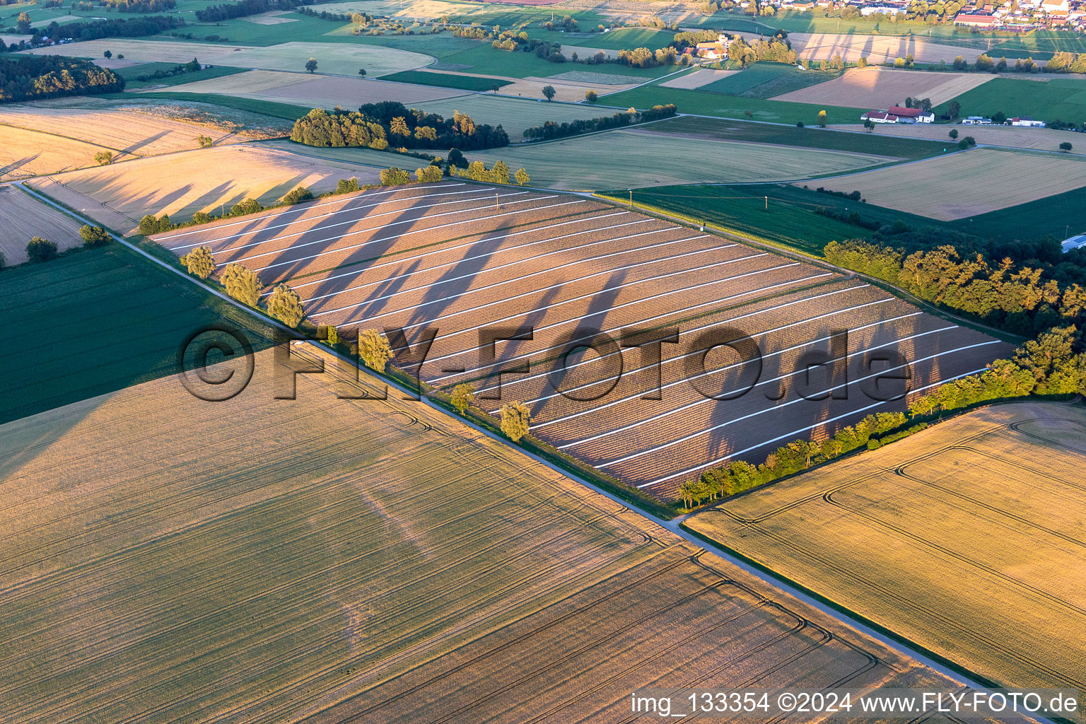 Field at Geiselhöring in the district Greißing in Geiselhöring in the state Bavaria, Germany