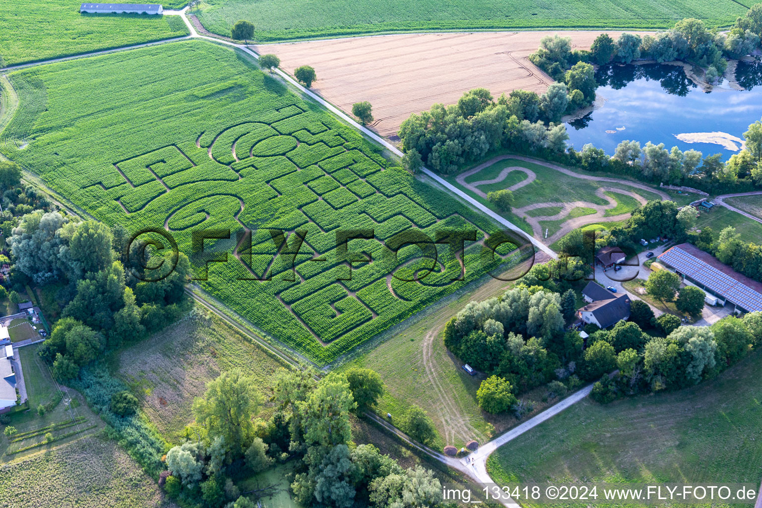 Aerial view of Corn maze in Leimersheim in the state Rhineland-Palatinate, Germany