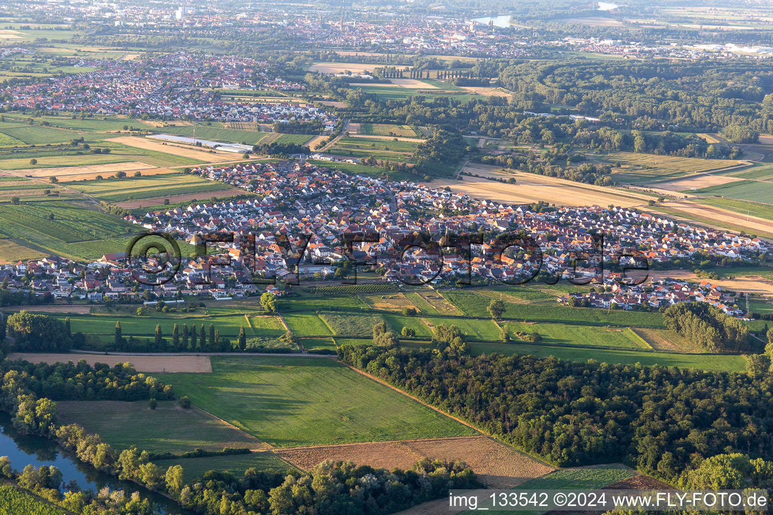 Oblique view of District Mechtersheim in Römerberg in the state Rhineland-Palatinate, Germany