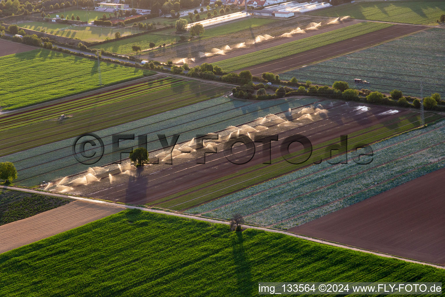 Irrigation of vegetable fields in the district Niederlustadt in Lustadt in the state Rhineland-Palatinate, Germany