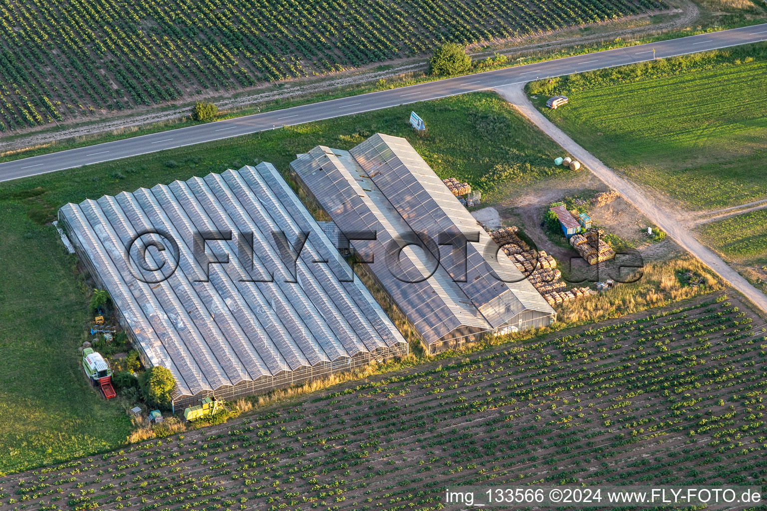 Greenhouses in the district Niederlustadt in Lustadt in the state Rhineland-Palatinate, Germany