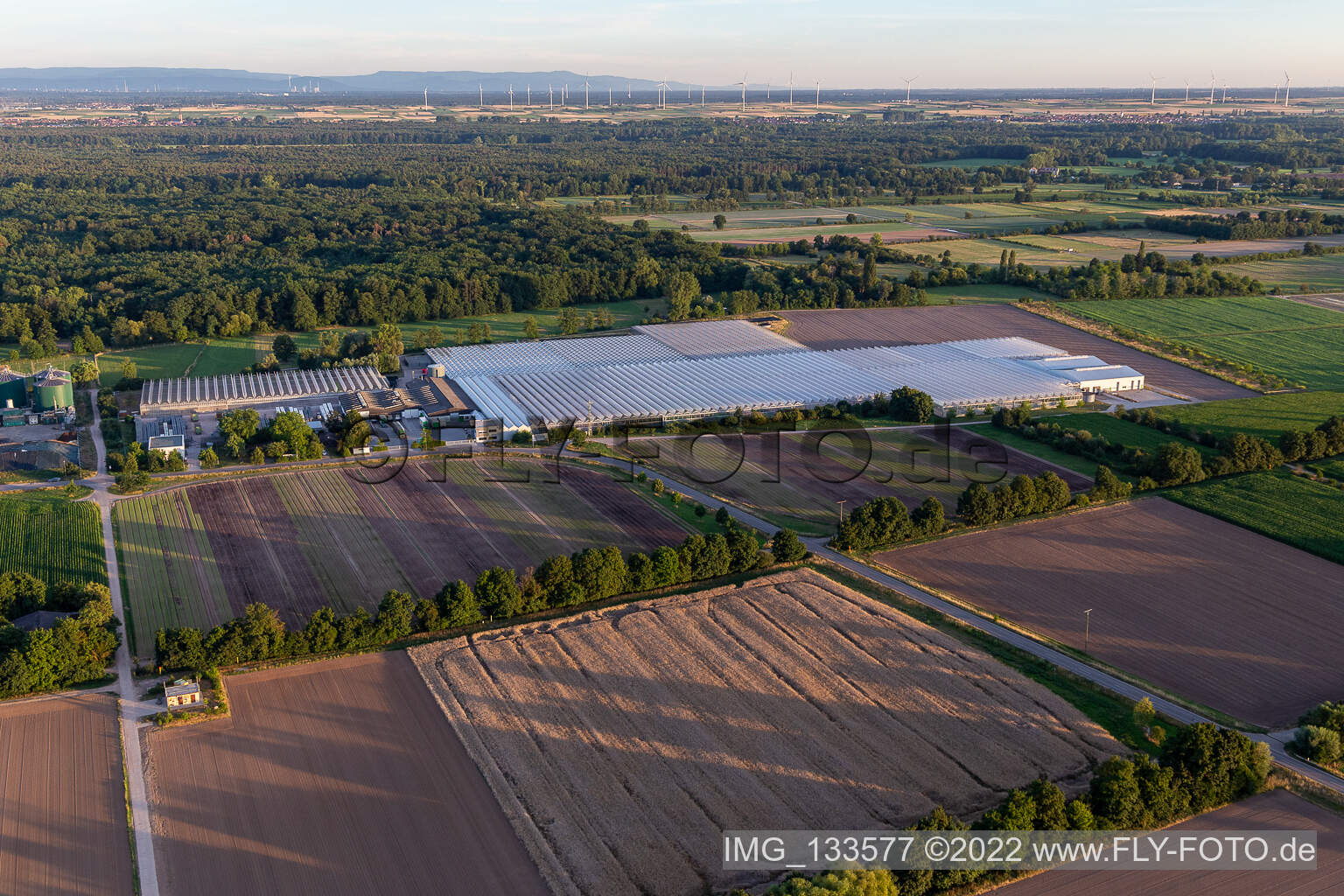 Aerial photograpy of Rudolf Sinn Jungpflanzen GmbH & Co. KG in Lustadt in the state Rhineland-Palatinate, Germany