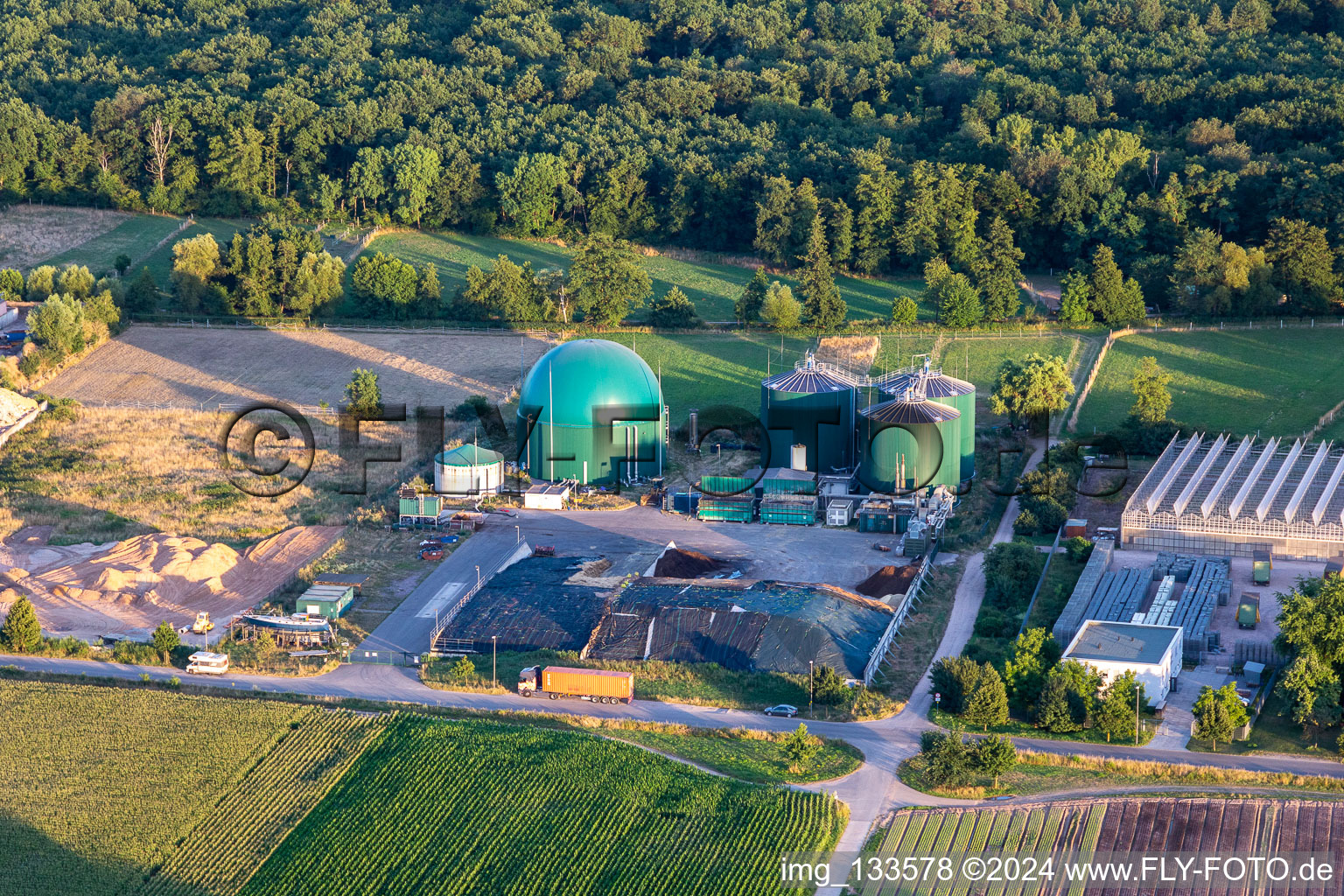 Oblique view of Rudolf Sinn Jungpflanzen GmbH & Co. KG in Lustadt in the state Rhineland-Palatinate, Germany