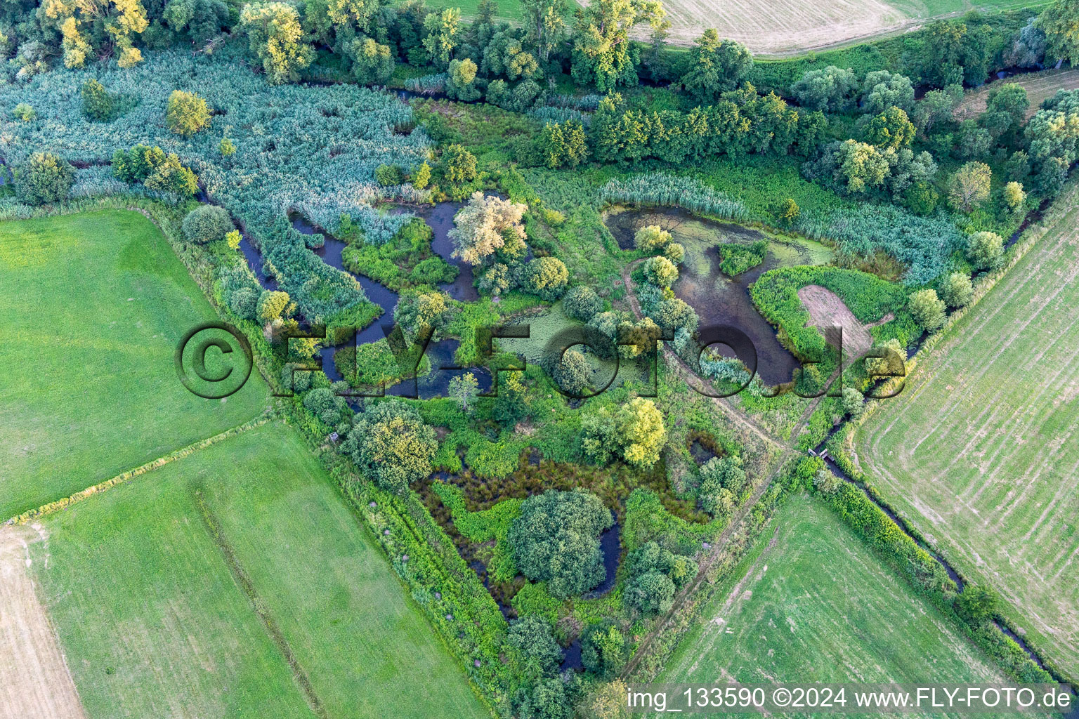 Aerial view of Biotope on the Queich in the district Niederhochstadt in Hochstadt in the state Rhineland-Palatinate, Germany