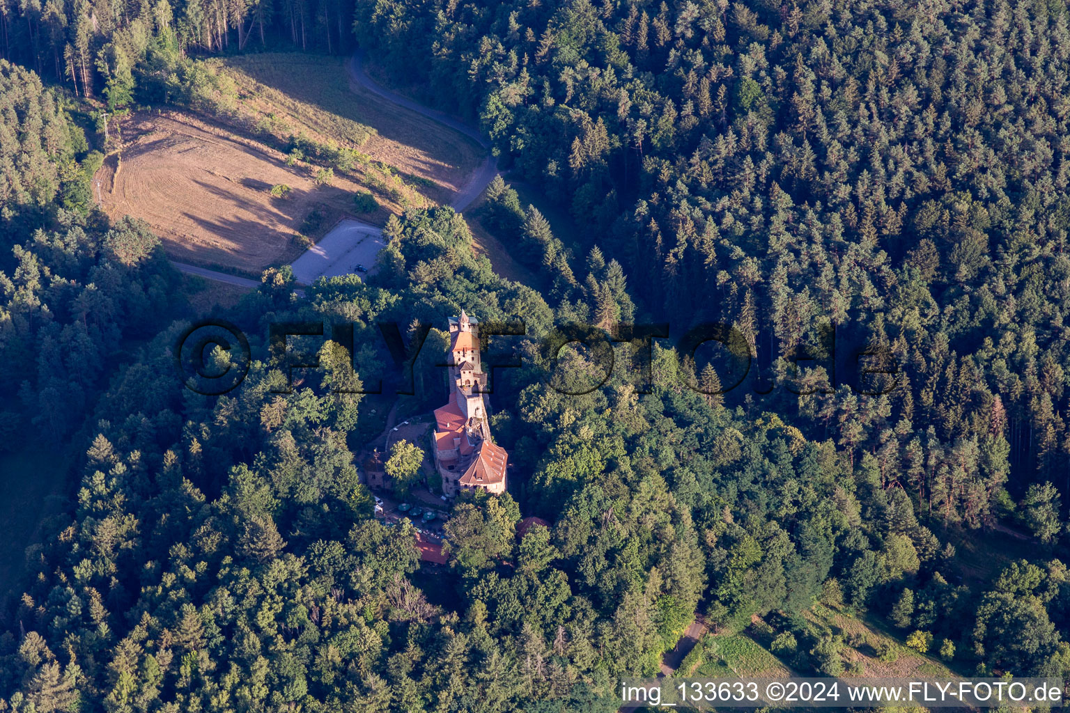 Bird's eye view of Berwartstein Castle in Erlenbach bei Dahn in the state Rhineland-Palatinate, Germany