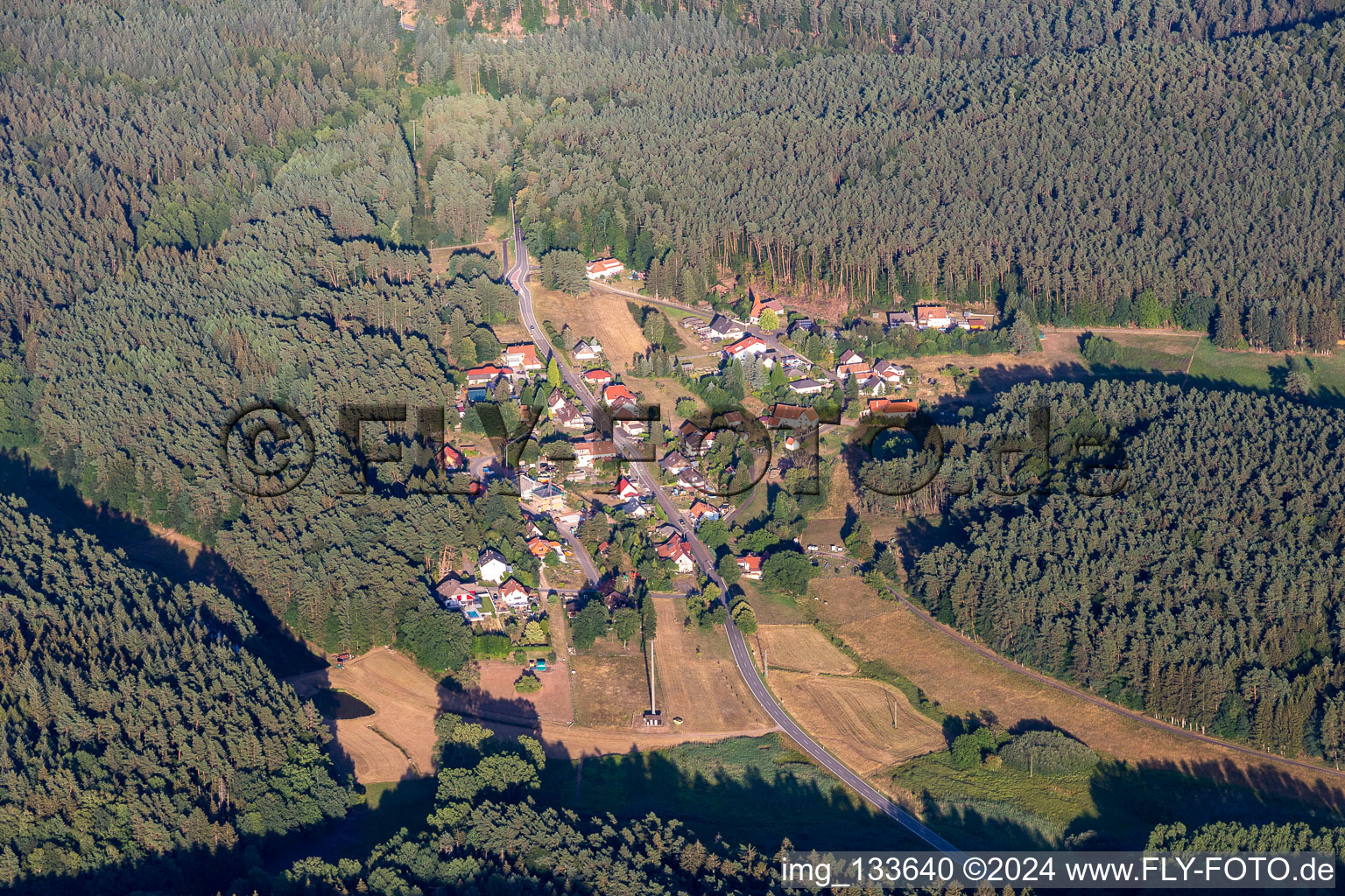 District Lauterschwan in Erlenbach bei Dahn in the state Rhineland-Palatinate, Germany seen from above