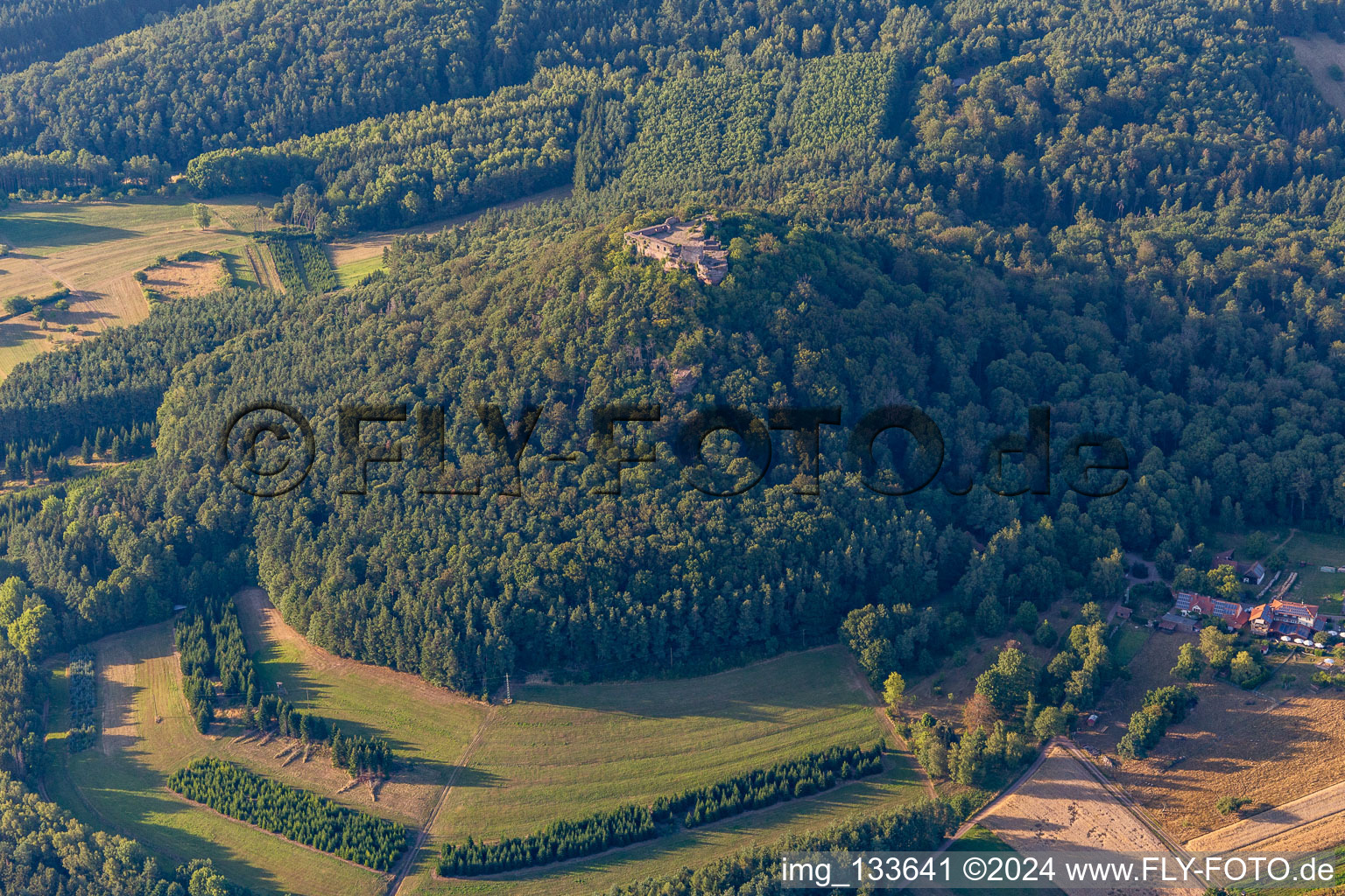 Lindelbrunn castle ruins in Vorderweidenthal in the state Rhineland-Palatinate, Germany from above