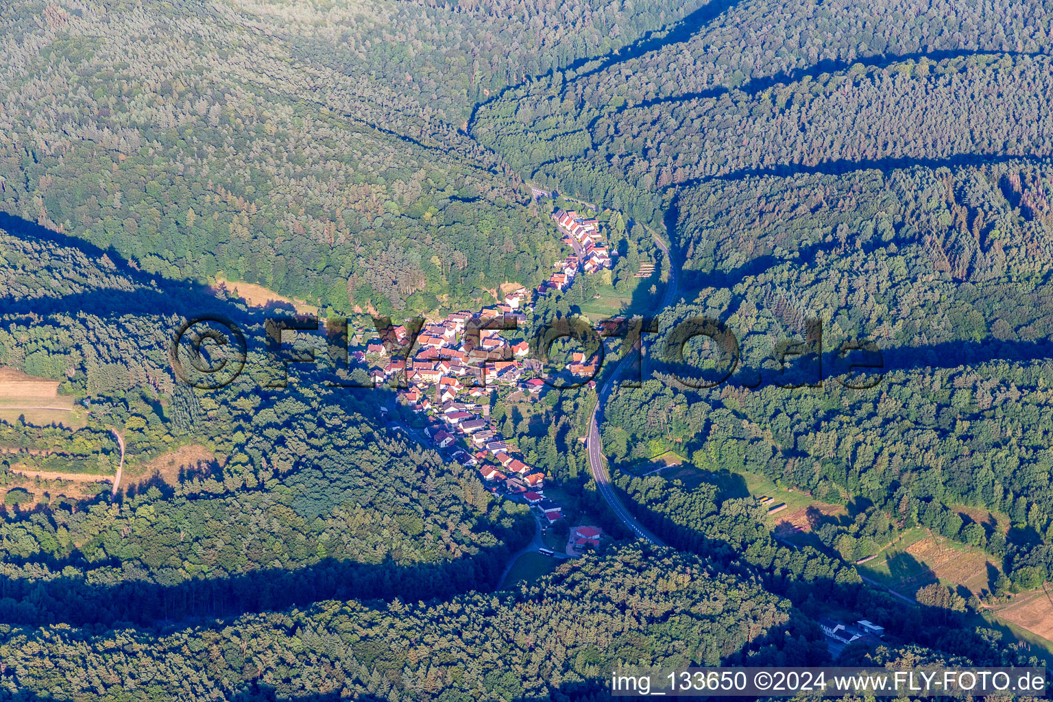 Münchweiler am Klingbach in the state Rhineland-Palatinate, Germany seen from above