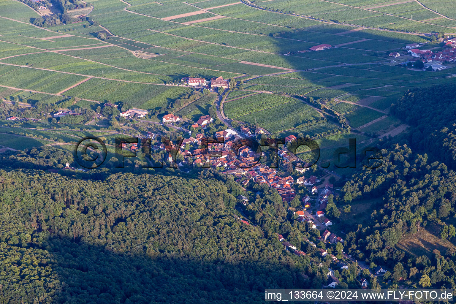 Leinsweiler in the state Rhineland-Palatinate, Germany viewn from the air