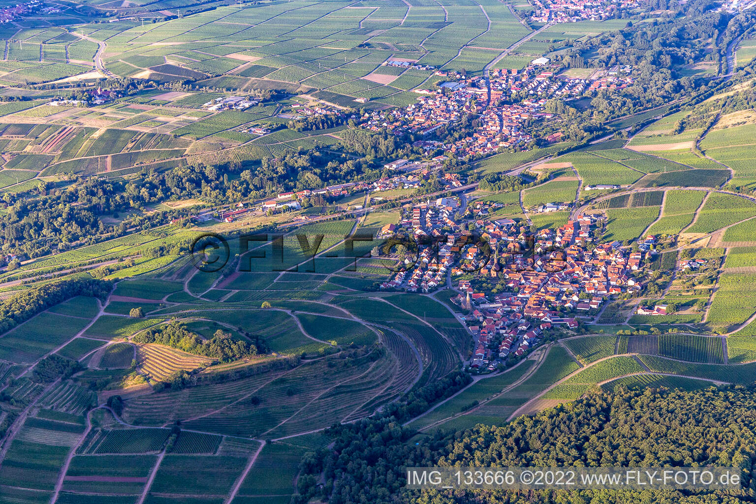 Aerial photograpy of Chestnut bush in Birkweiler in the state Rhineland-Palatinate, Germany