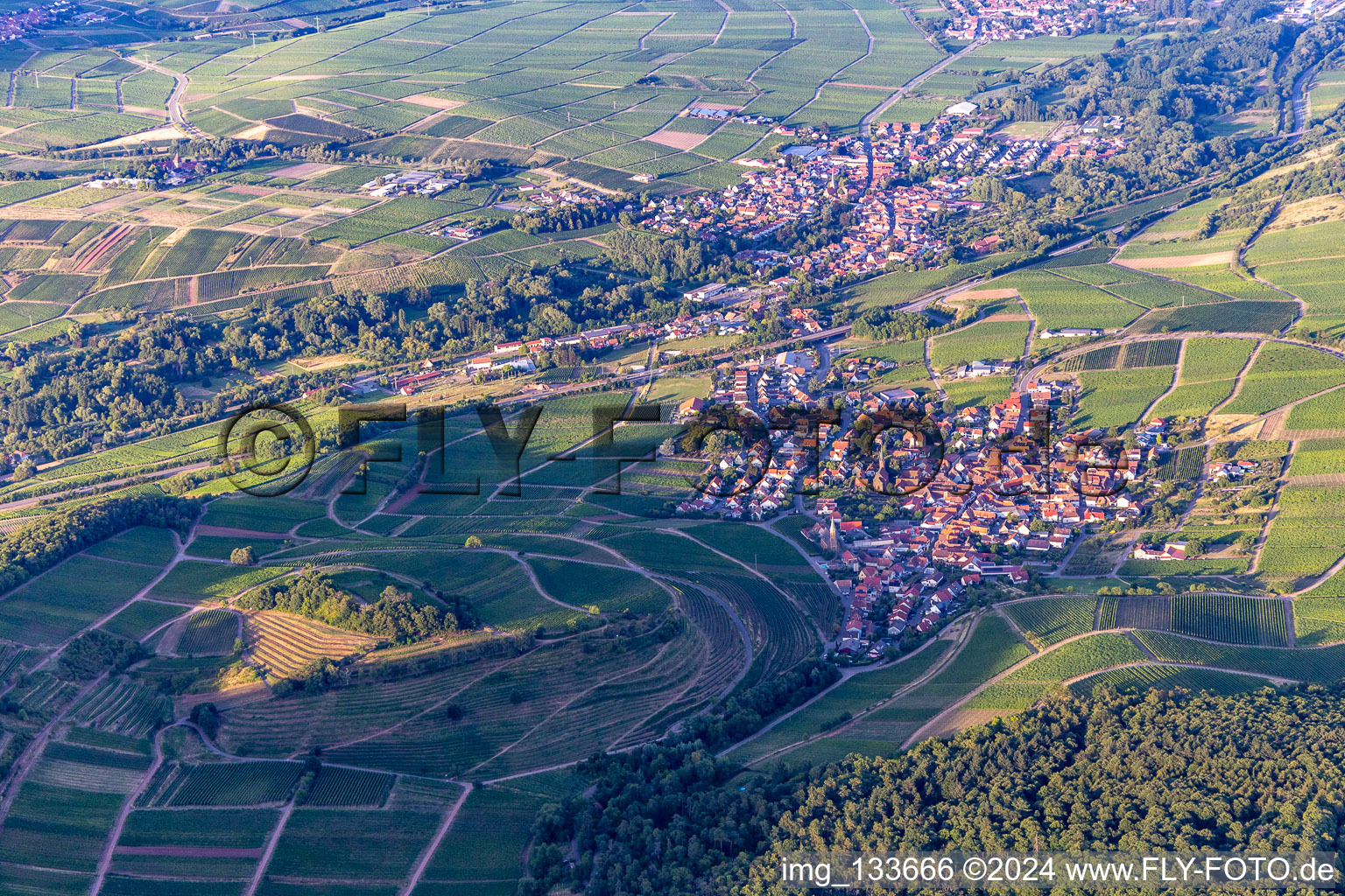 Aerial photograpy of Chestnut bush in Birkweiler in the state Rhineland-Palatinate, Germany