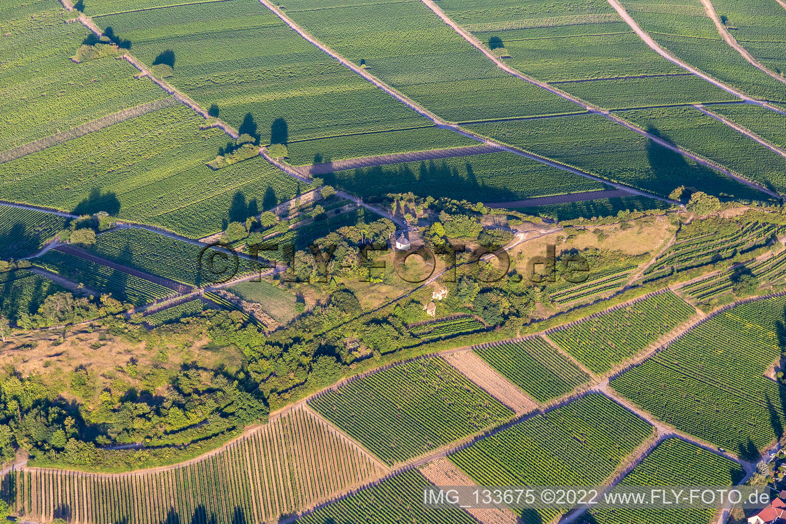 Drone image of Ilbesheim bei Landau in der Pfalz in the state Rhineland-Palatinate, Germany