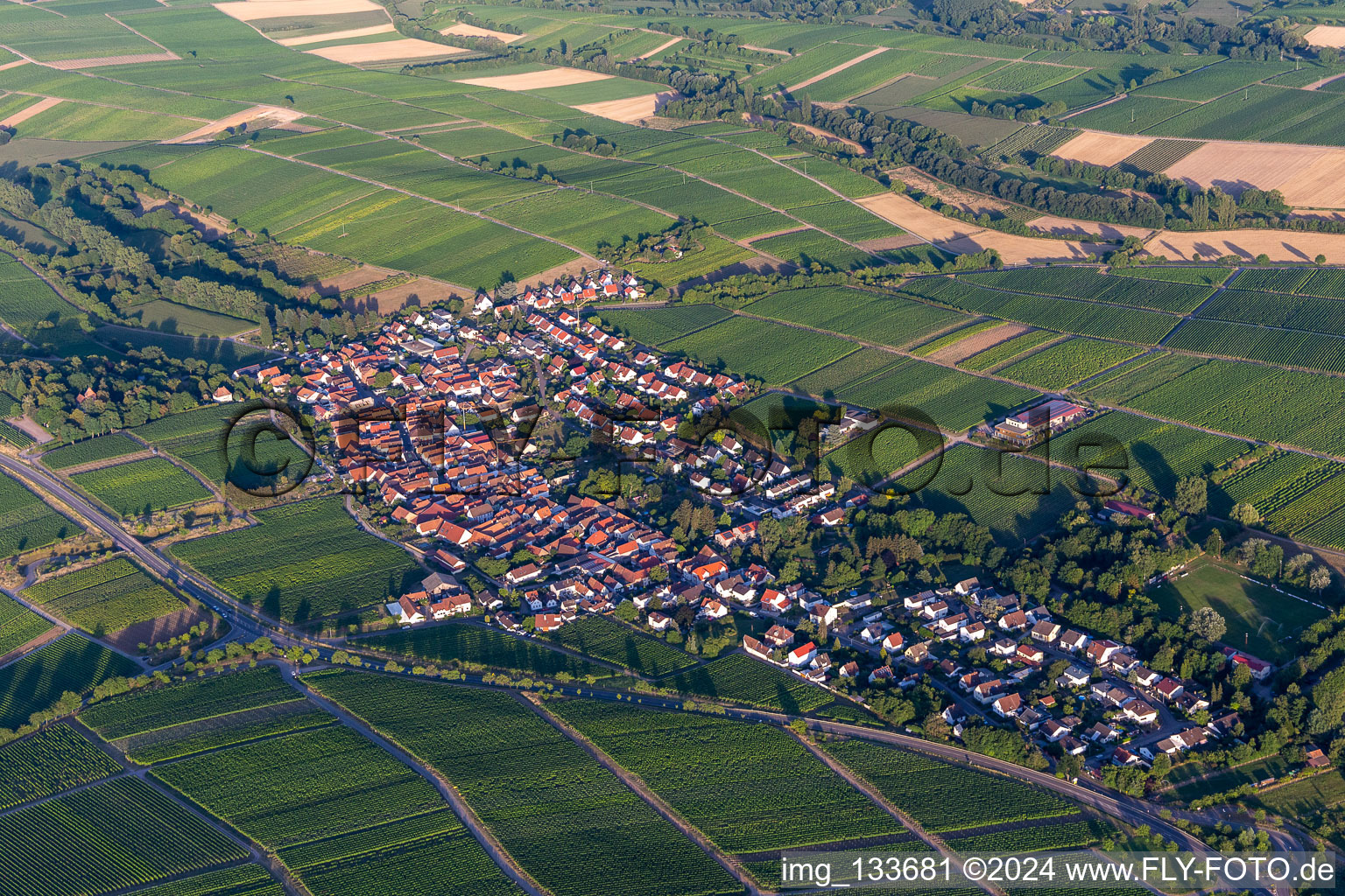 Aerial view of District Wollmesheim in Landau in der Pfalz in the state Rhineland-Palatinate, Germany