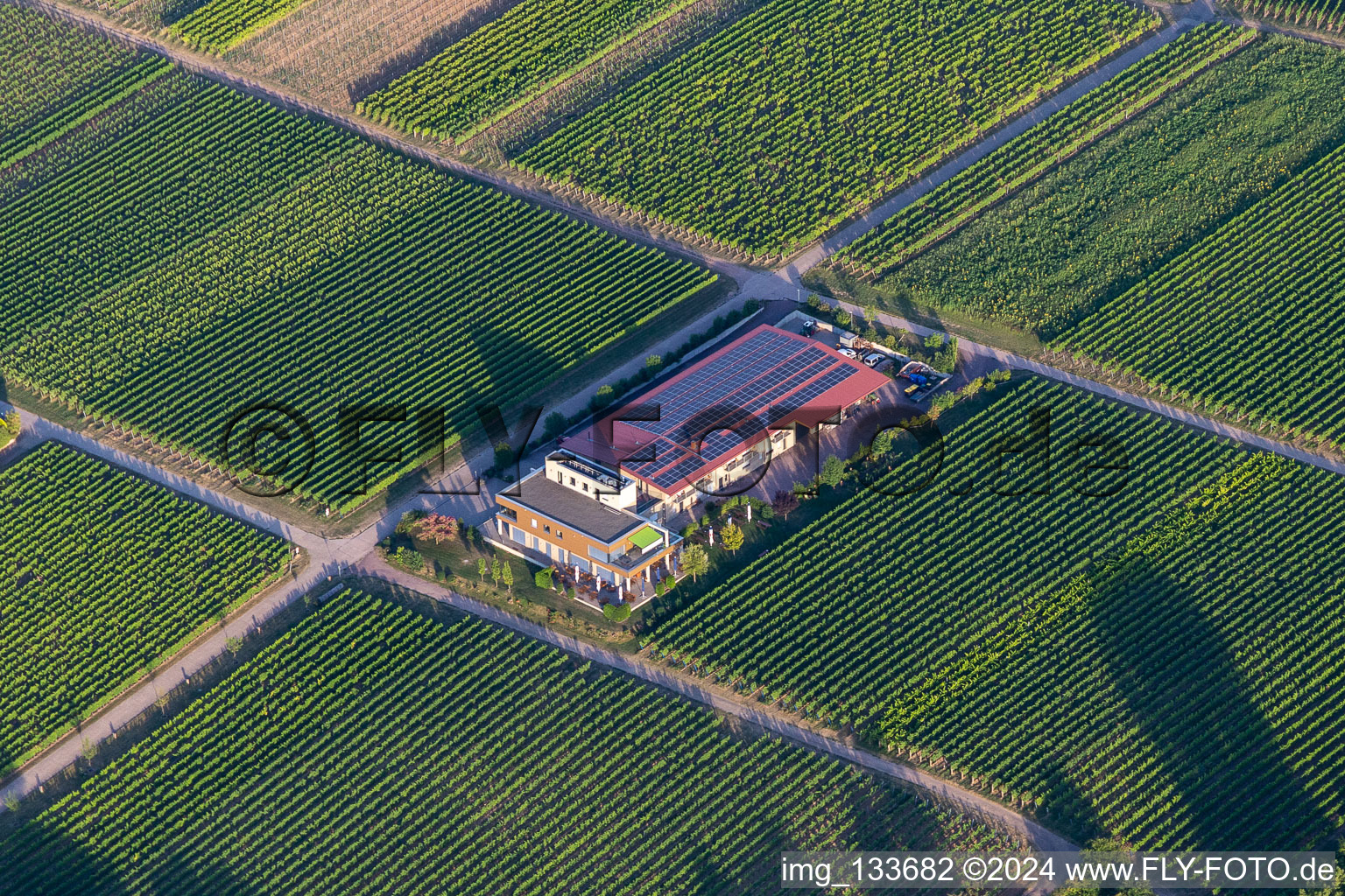 Vögeli Winery in the district Wollmesheim in Landau in der Pfalz in the state Rhineland-Palatinate, Germany