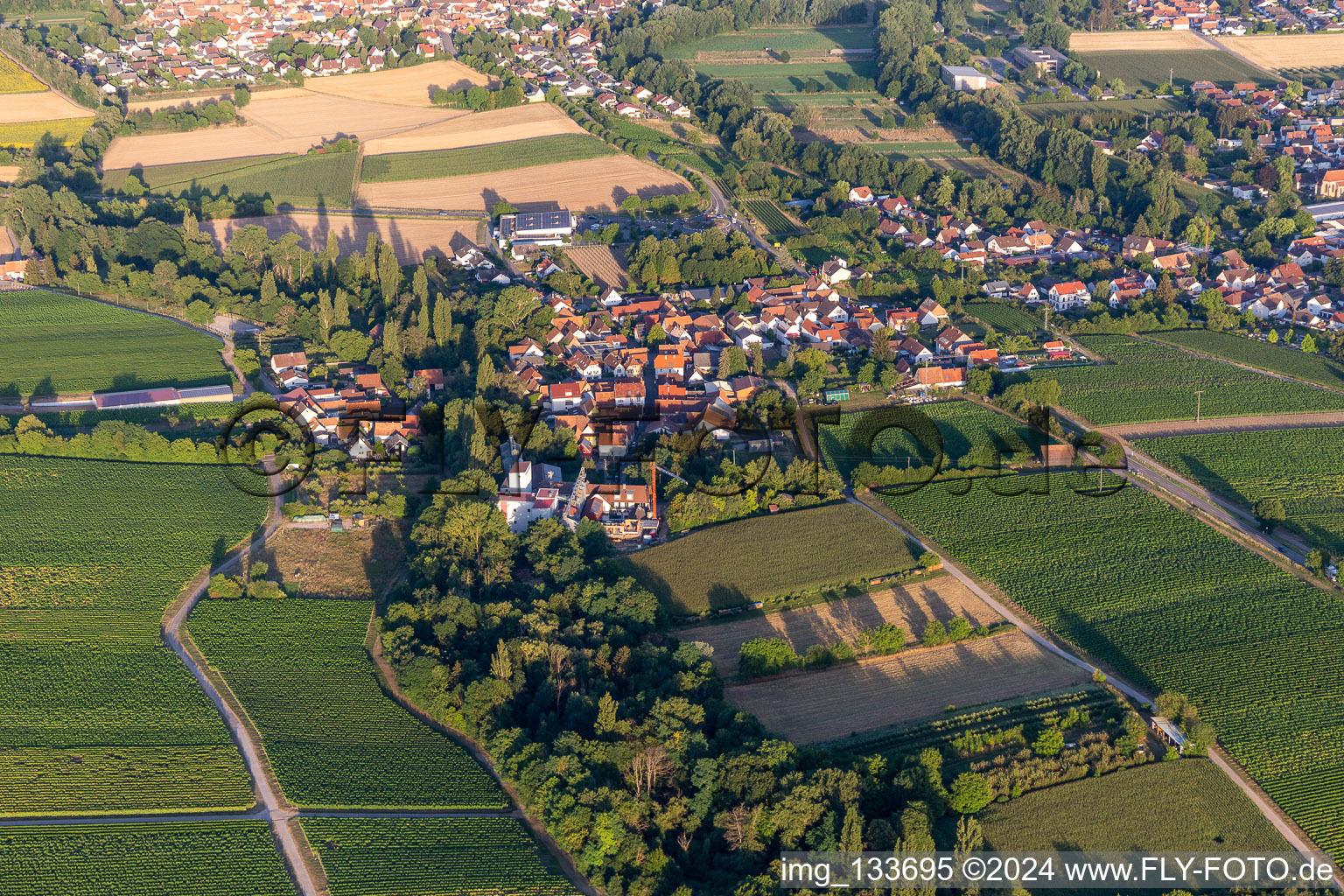 District Ingenheim in Billigheim-Ingenheim in the state Rhineland-Palatinate, Germany from above