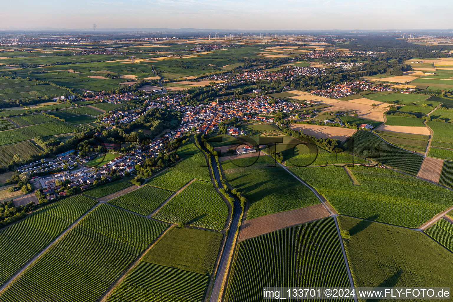 District Ingenheim in Billigheim-Ingenheim in the state Rhineland-Palatinate, Germany seen from above