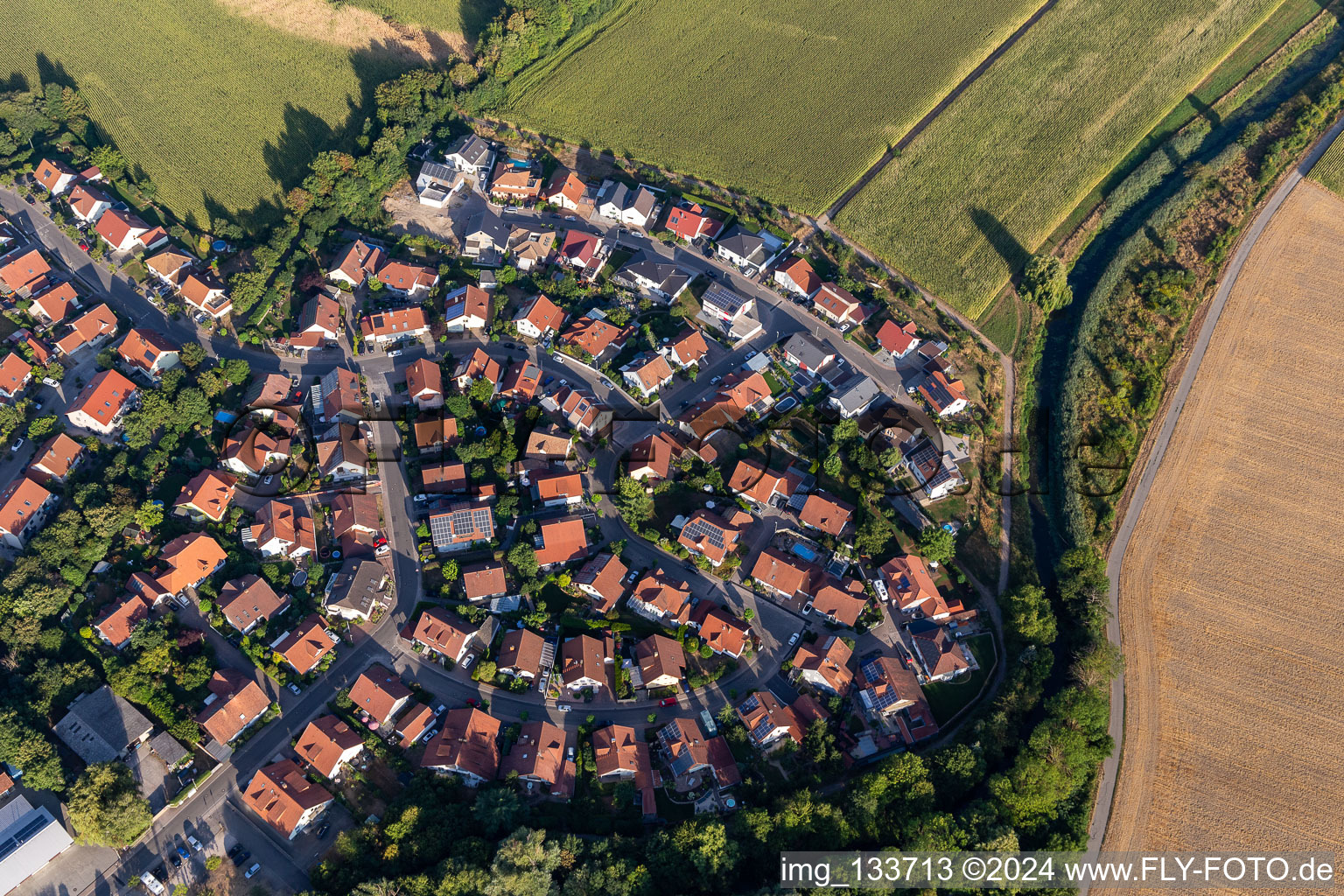 Aerial view of In Niederhorst in Leimersheim in the state Rhineland-Palatinate, Germany