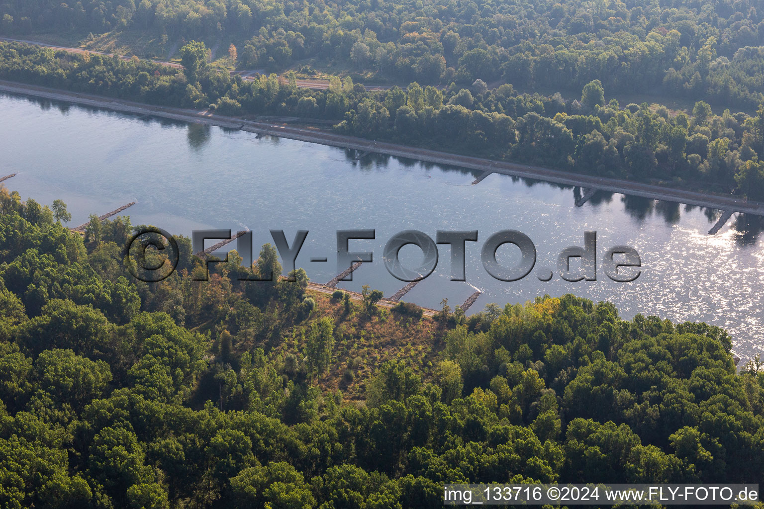 Dry groynes in the Rhine at low water in Leimersheim in the state Rhineland-Palatinate, Germany