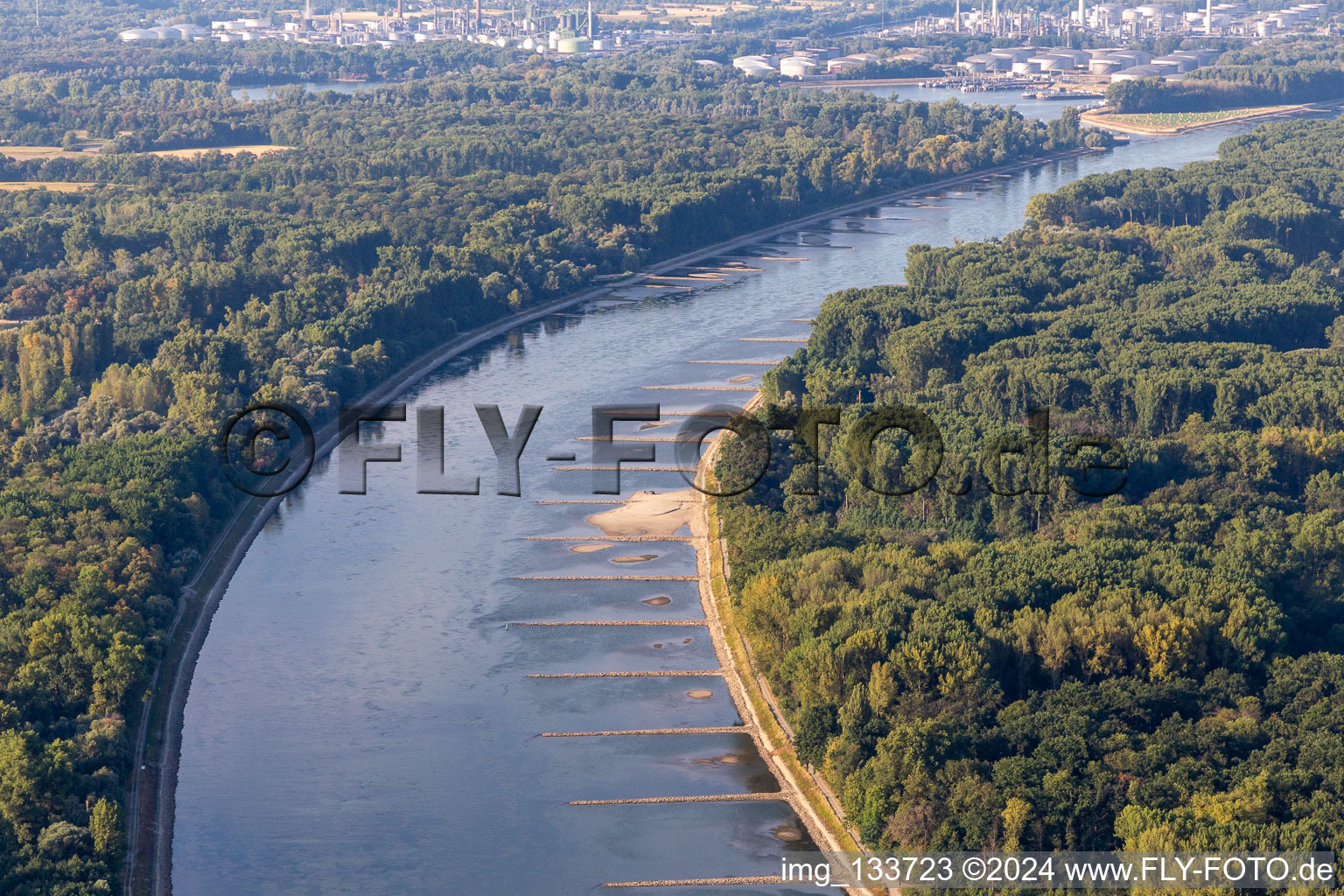 Dry groynes and sandbanks in the Rhine due to low water in Neupotz in the state Rhineland-Palatinate, Germany