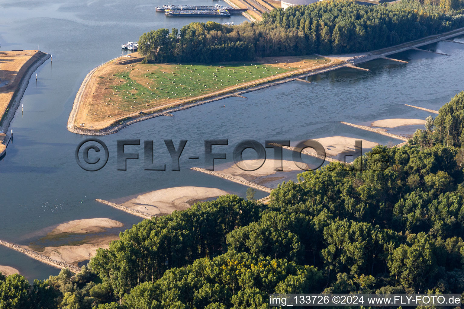 Aerial photograpy of Dry groynes and sandbanks in the Rhine due to low water in Neupotz in the state Rhineland-Palatinate, Germany