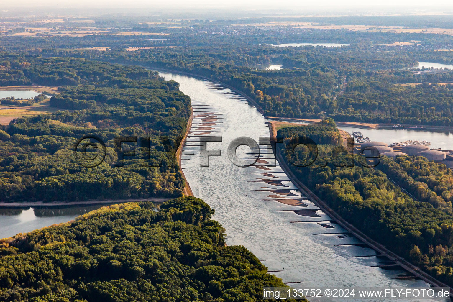 Dry groynes and sandbanks in the Rhine due to low water in the district Knielingen in Karlsruhe in the state Baden-Wuerttemberg, Germany