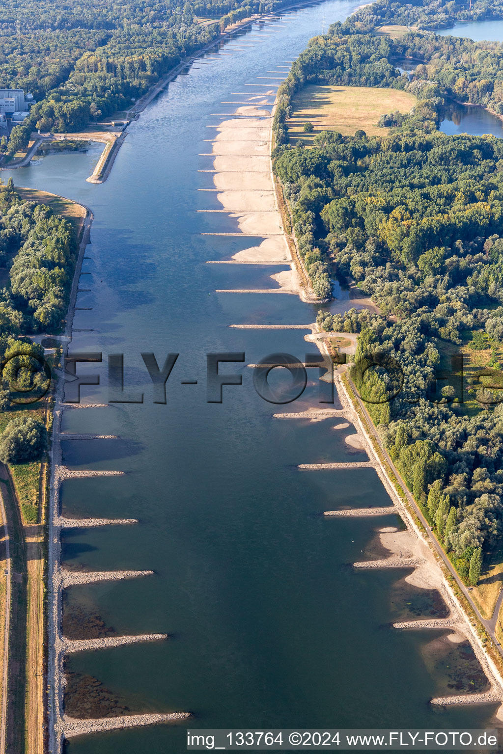 Dry groynes and sandbanks in the Rhine due to low water in the district Maximiliansau in Wörth am Rhein in the state Rhineland-Palatinate, Germany