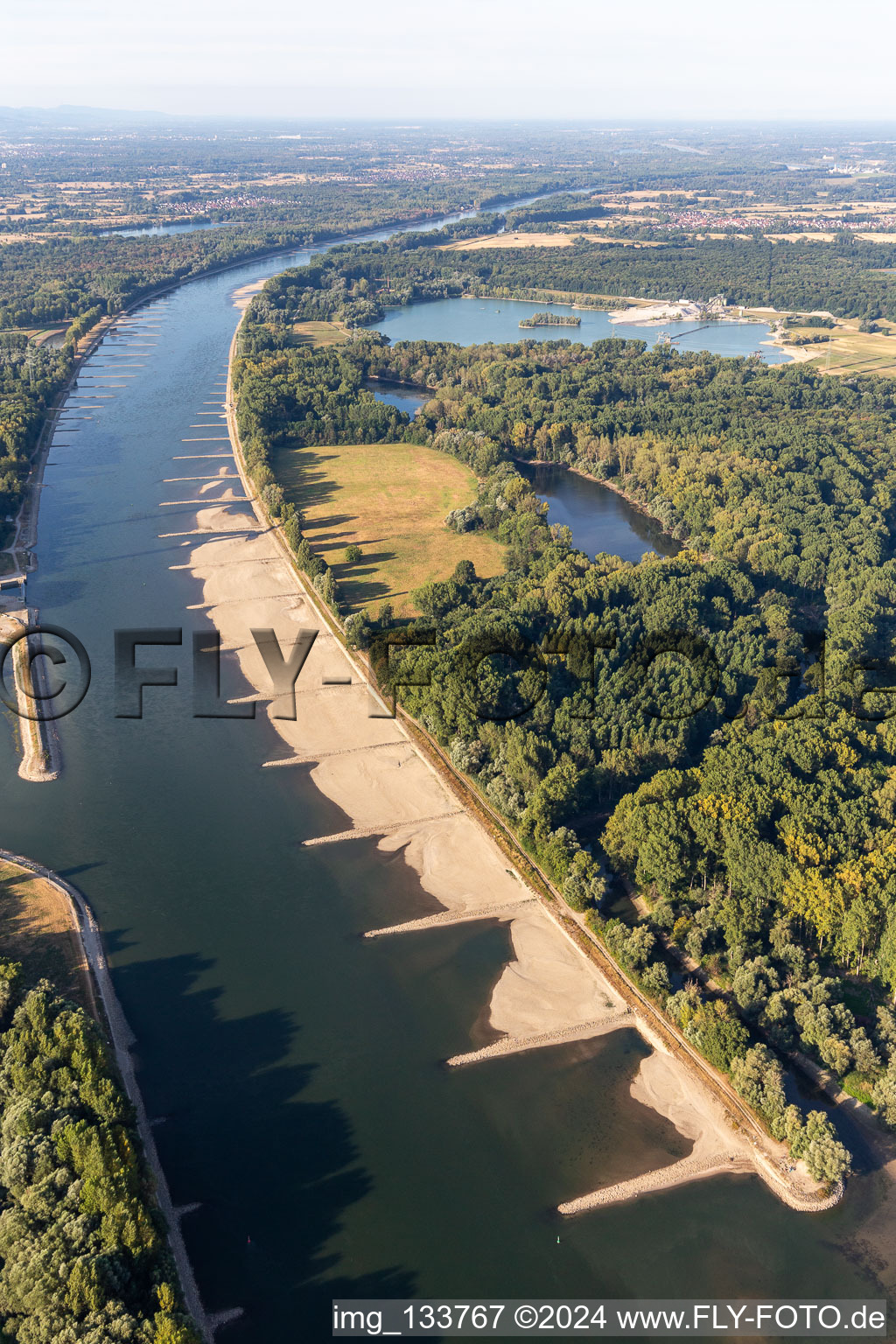 Aerial photograpy of Dry groynes and sand banks in the Rhine due to low water in the district Maximiliansau in Wörth am Rhein in the state Rhineland-Palatinate, Germany