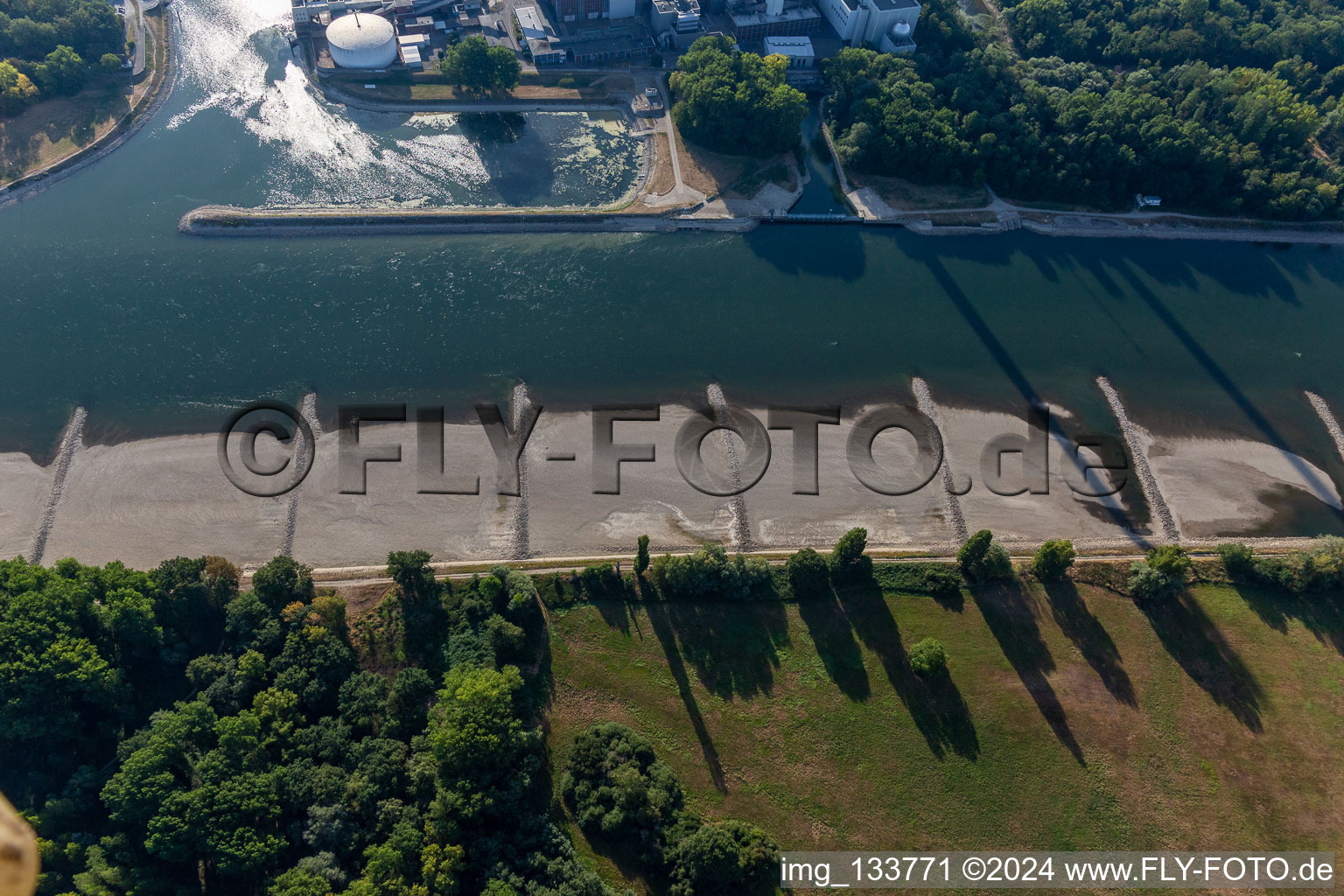 Oblique view of Dry groynes and sandbanks in the Rhine due to low water in the district Maximiliansau in Wörth am Rhein in the state Rhineland-Palatinate, Germany